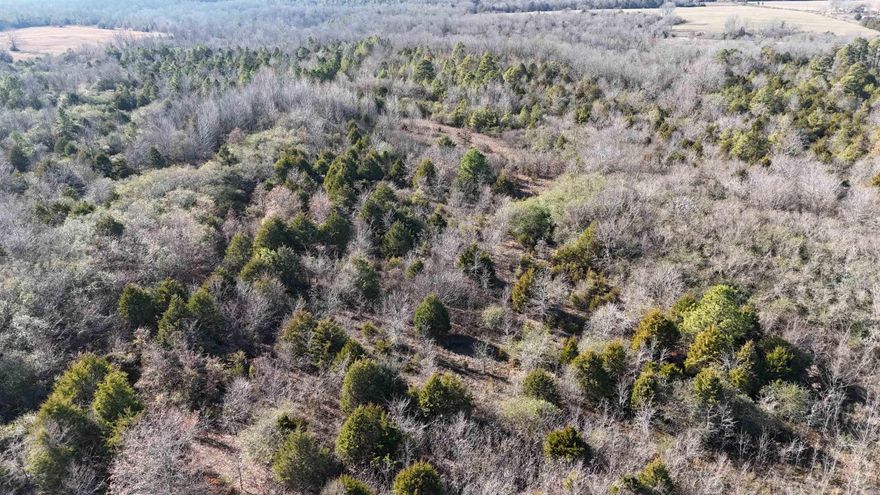 MINERAL RIGHTS CONVEY!!!  Great place to build a home, cabin, or deer camp.  23+/- acres.  Multiple building sites and easy access from a well maintained county road.
