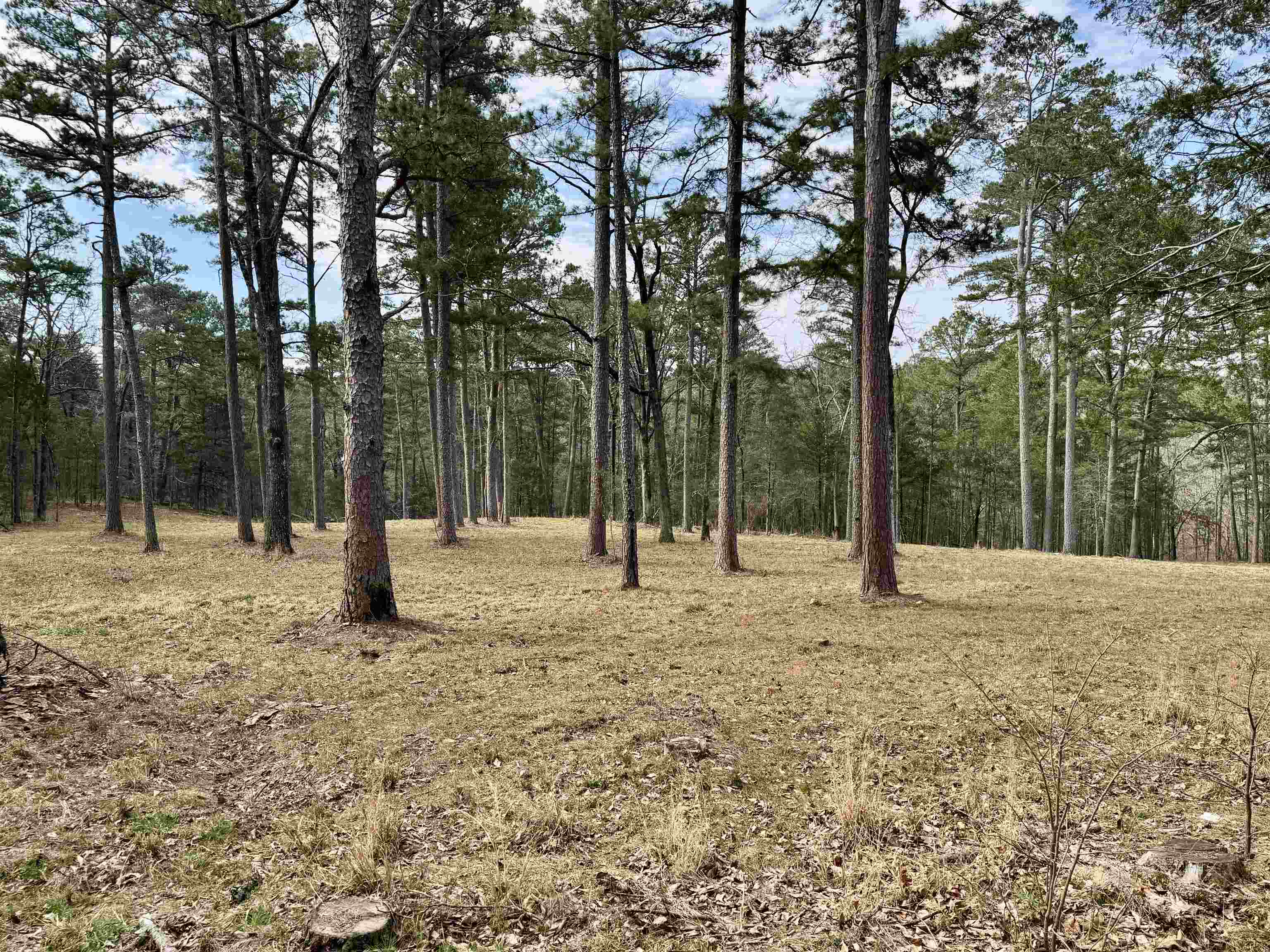 BONE ISLAND - Residential