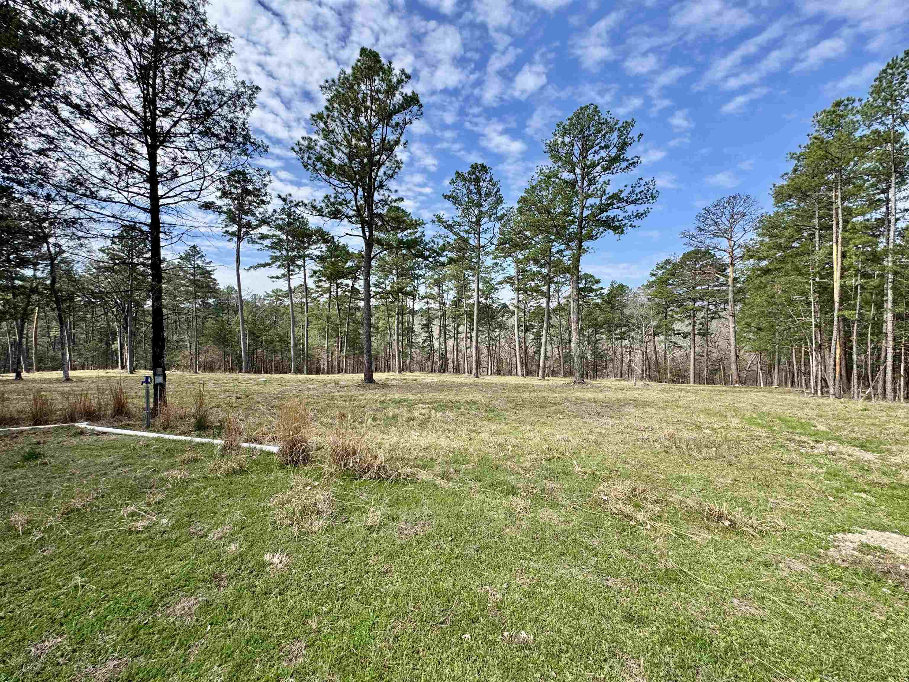 BONE ISLAND - Residential