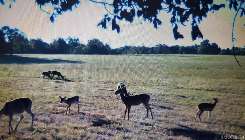 River Plantation - Land