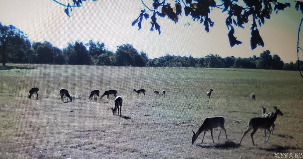 River Plantation - Land