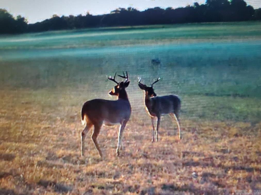 River Plantation - Land