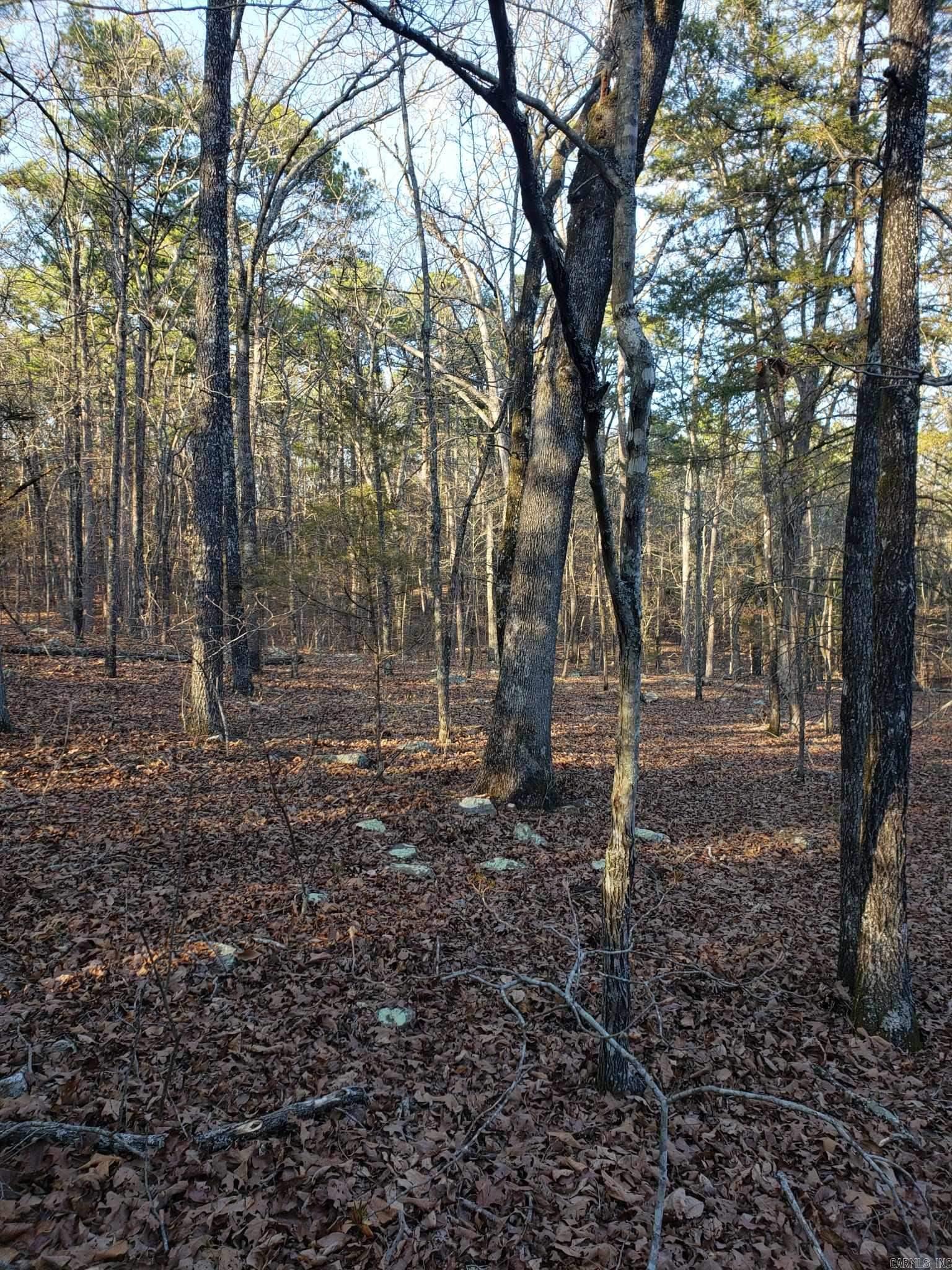 Indian Hills - Land