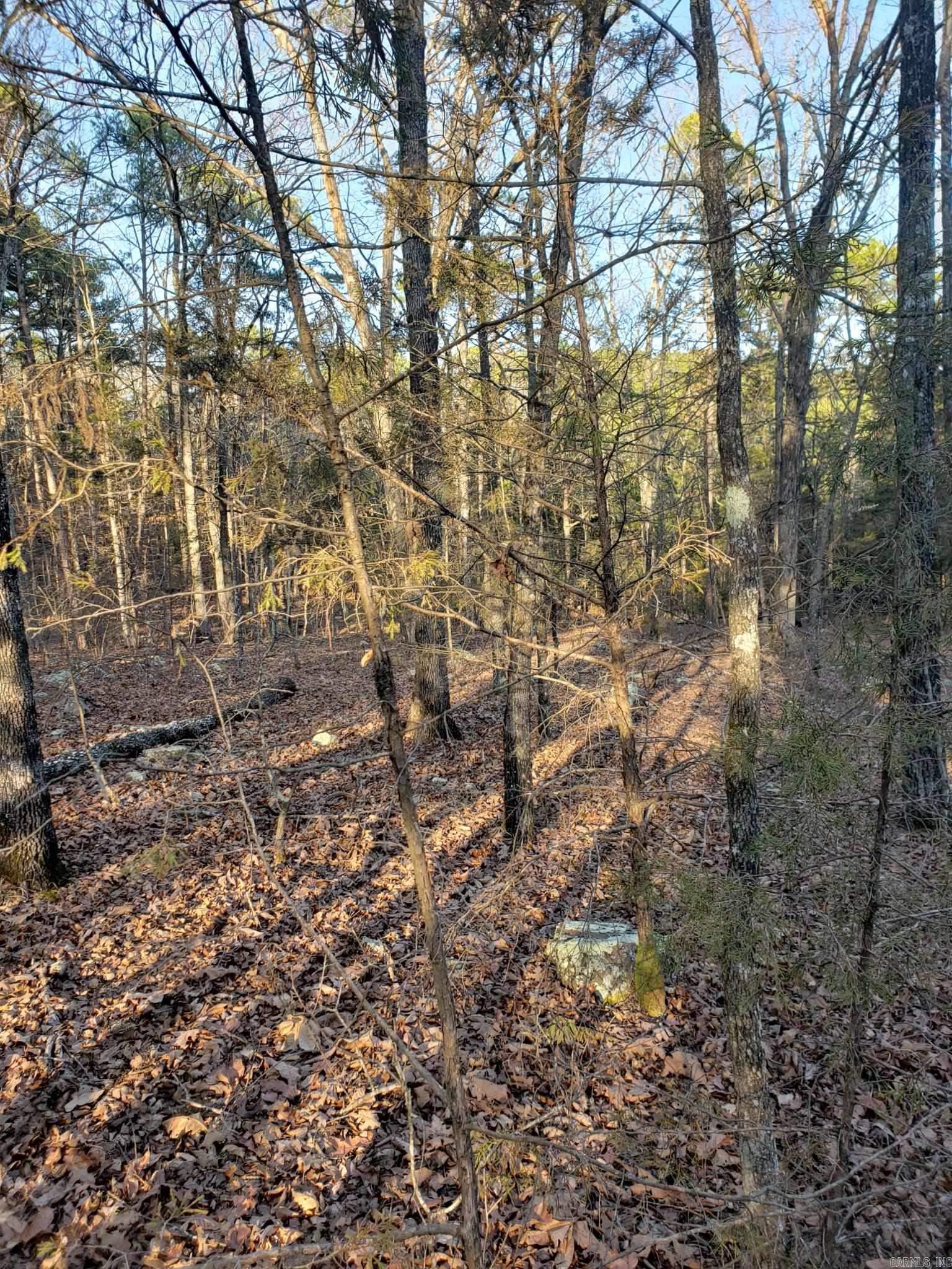 Indian Hills - Land