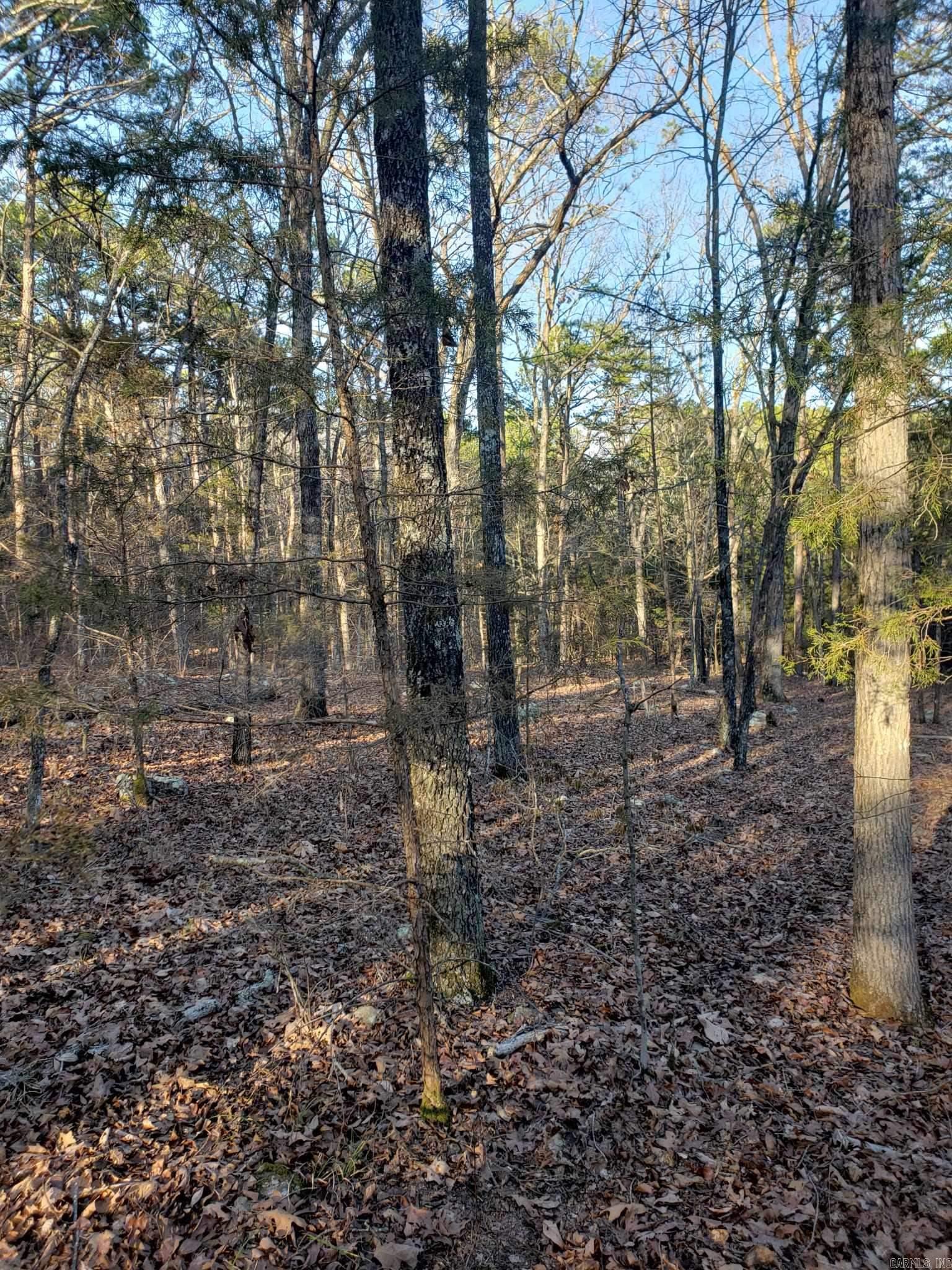Indian Hills - Land