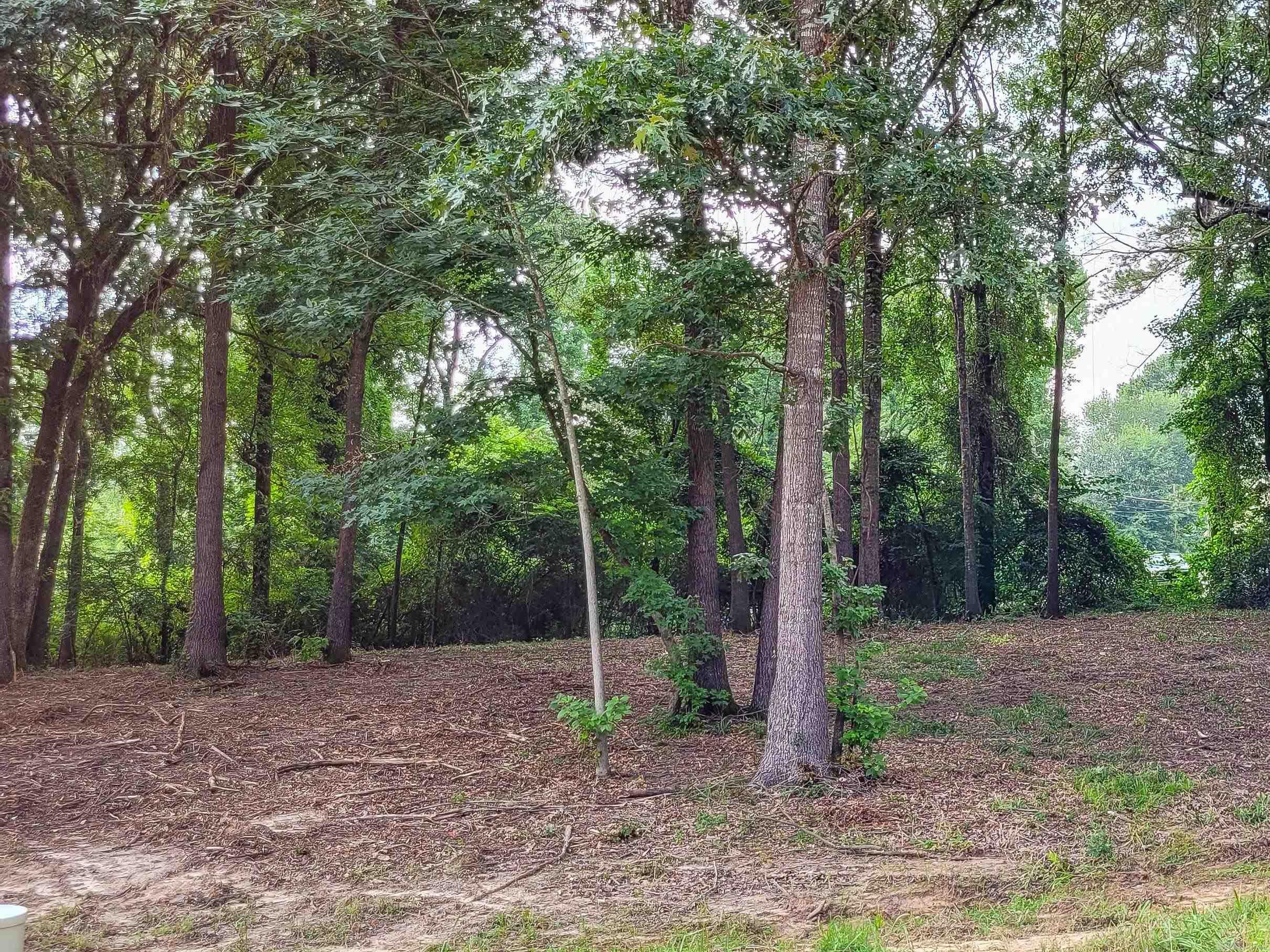 Coulter Estates - Land