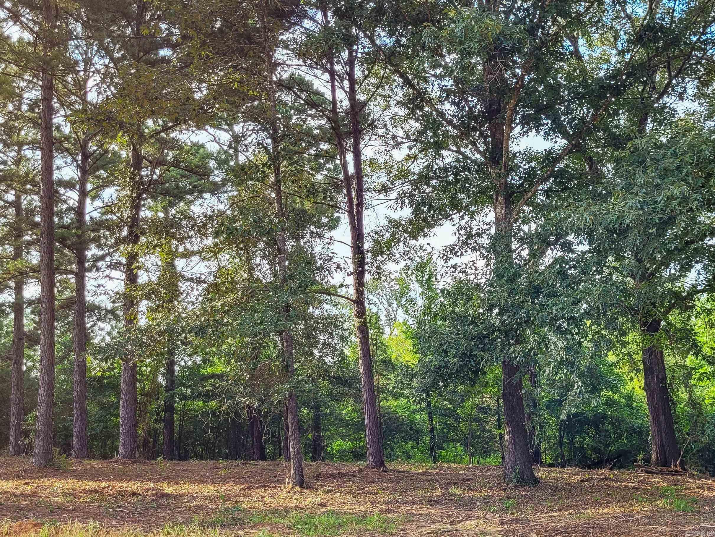 Coulter Estates - Land