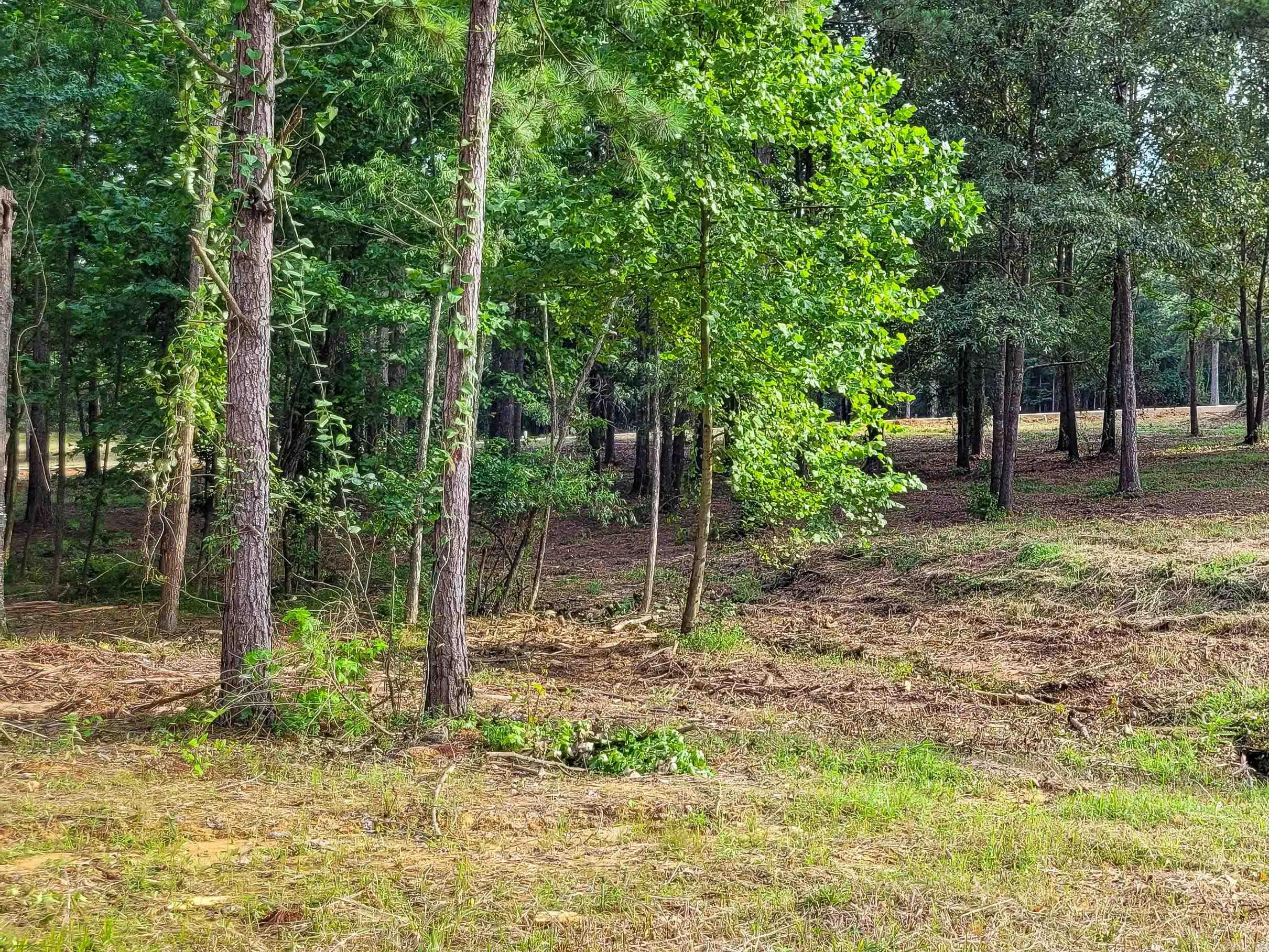 Coulter Estates - Land