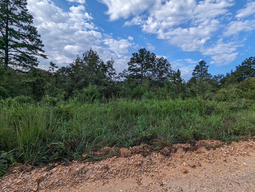 Small acreage in the country with gravel county road frontage. No restrictions.