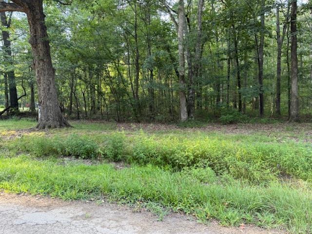 Prime location on the south side of Cabot! This beautiful lot offers the perfect setting to build your dream home. Peaceful surroundings with convenient access to town. Site-built homes only—no mobiles allowed.