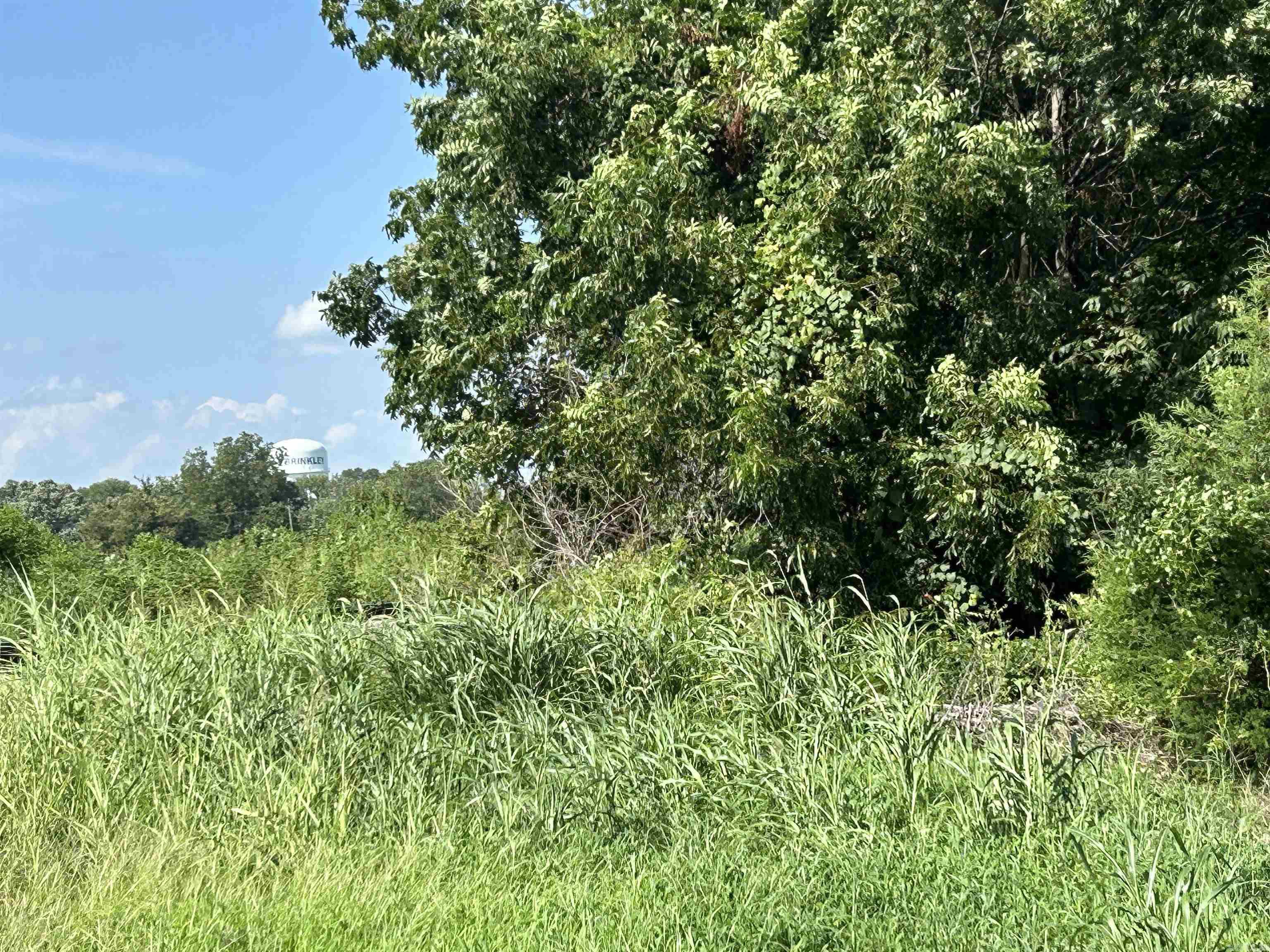 Carters First - Land