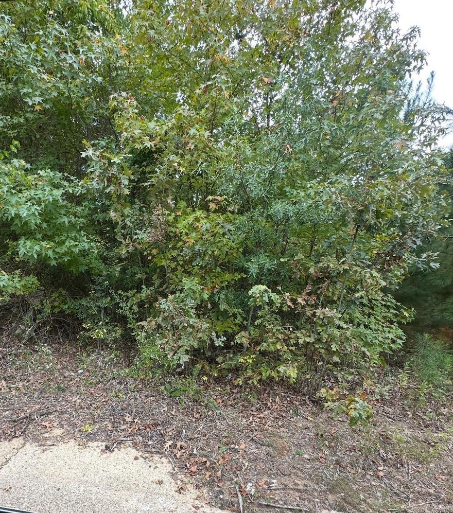 Great opportunity to own a small lot right in the city! Conveniently located on a paved road, this property offers easy access to local amenities, schools, and shopping. It’s the perfect spot for a new build, investment property, or a simple in-town retreat.