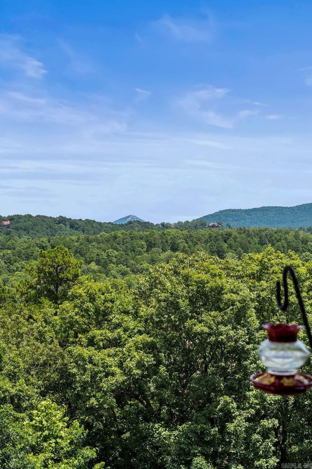 Reynolds Mountain - Residential