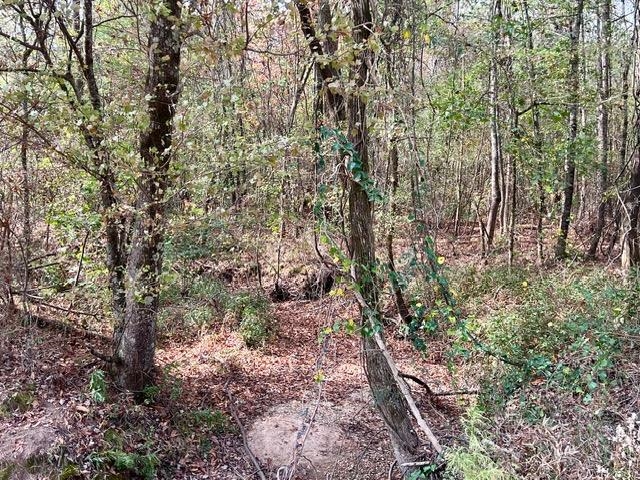 This is a great opportunity to buy 10 acres (+/-) in White Hall School District. Water, electric, and Natural Gas utilities are at the road with lots of timber for hunting or harvesting to build your new home. The property is backed up against Weyerhaeuser timber holdings with paved road frontage and offers many possibilities. There is an additional 10 (+/-) acre property that runs parallel to it with paved road frontage listed for sale, providing a fantastic opportunity to purchase 20 acres (+/_) with Weyerhaeuser and Potlatch Timber Forest Holdings directly behind it. There is not a survey or timber appraisal available and the acreage amount is based upon Jefferson County Tax Data Records.