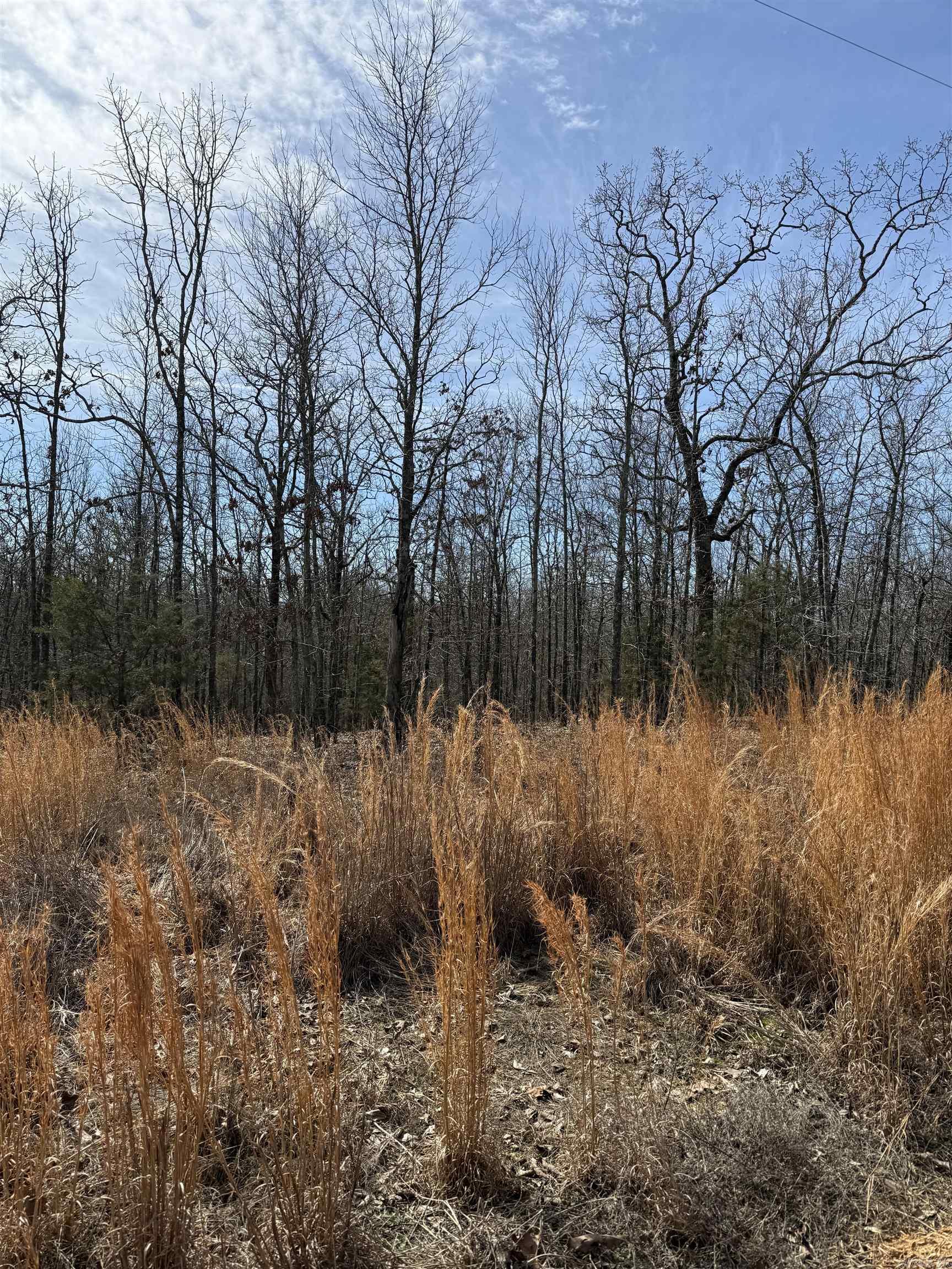 Nice lots in gated subdivision. This Lot 10 is 19.95 acres. Have more lots available. Restricted to houses only but small minimum square footage. Has city water and electric. Very secluded behind gate at end of road. Rural Conway. Private Road/ Easement.