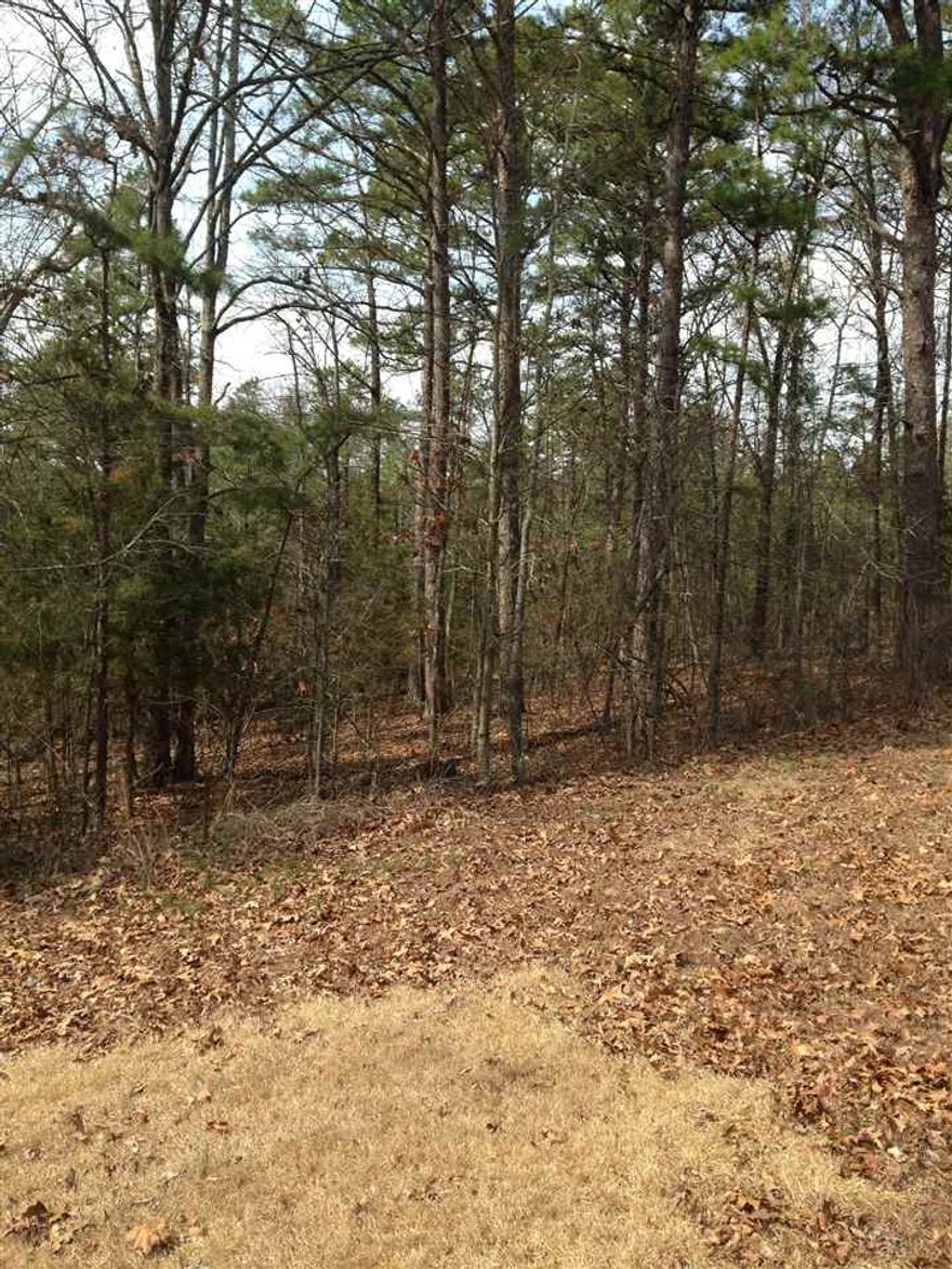 Off the beaten path but the lot has a beautiful view of the lake. This lot won't be on the market long, it's priced right.