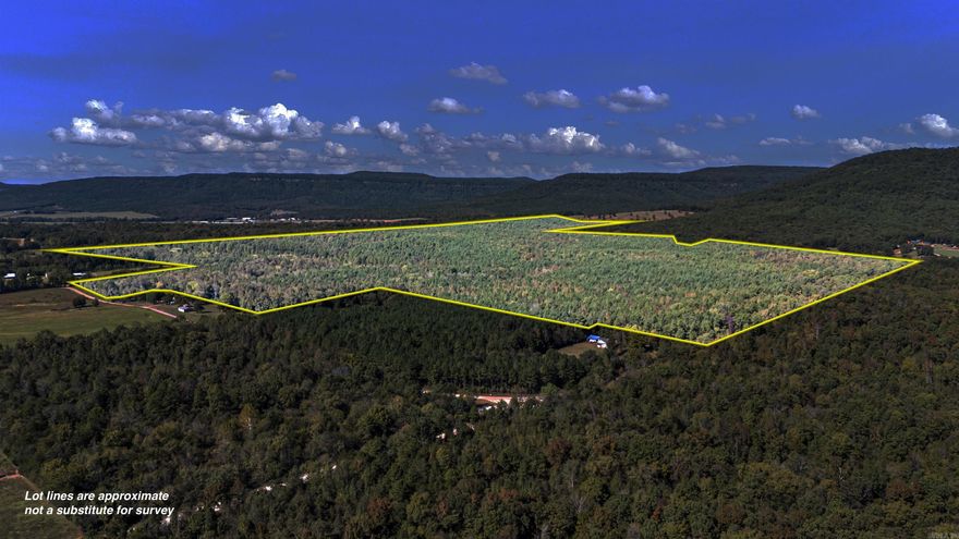 First Time on the Market! This remarkable 295-acre property has been in the same family for over a century and is now available for the first time. A true hunter's paradise, this prime tract borders the National Forest on the North corner and offers endless outdoor adventure. The land features several established food plots, two ponds, and extensive side-by-side trails that wind throughout the property. Approximately 80% of the acreage is covered in majestic native pine trees, complemented by impressive rock formations and several natural bear caves. Whether you are seeking a private hunting retreat, investment opportunity, or a secluded getaway surrounded by nature, this extraordinary property is one you won't want to miss. New survey and All Mineral Rights will convey!!