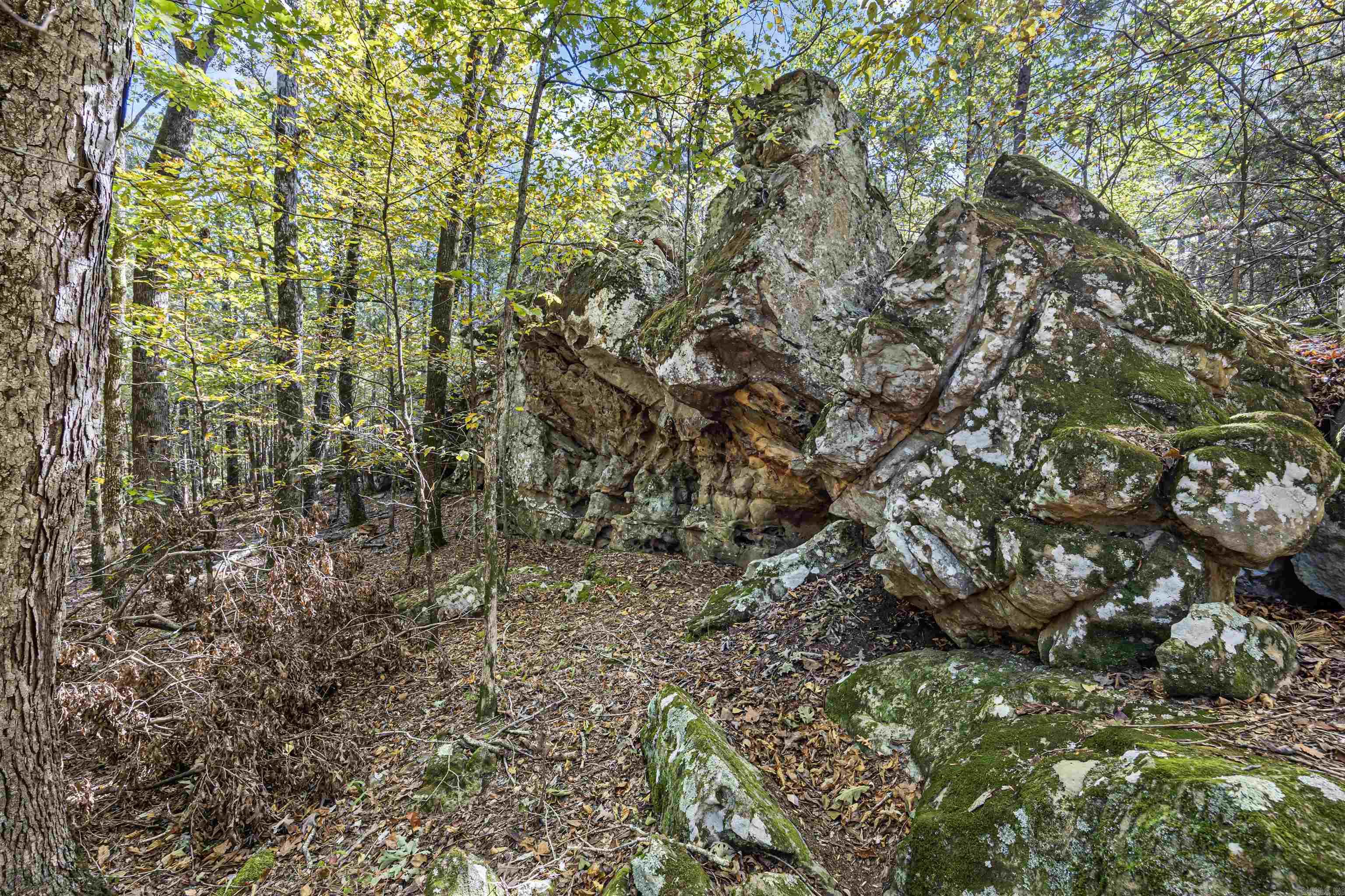 Metes & Bounds - Land