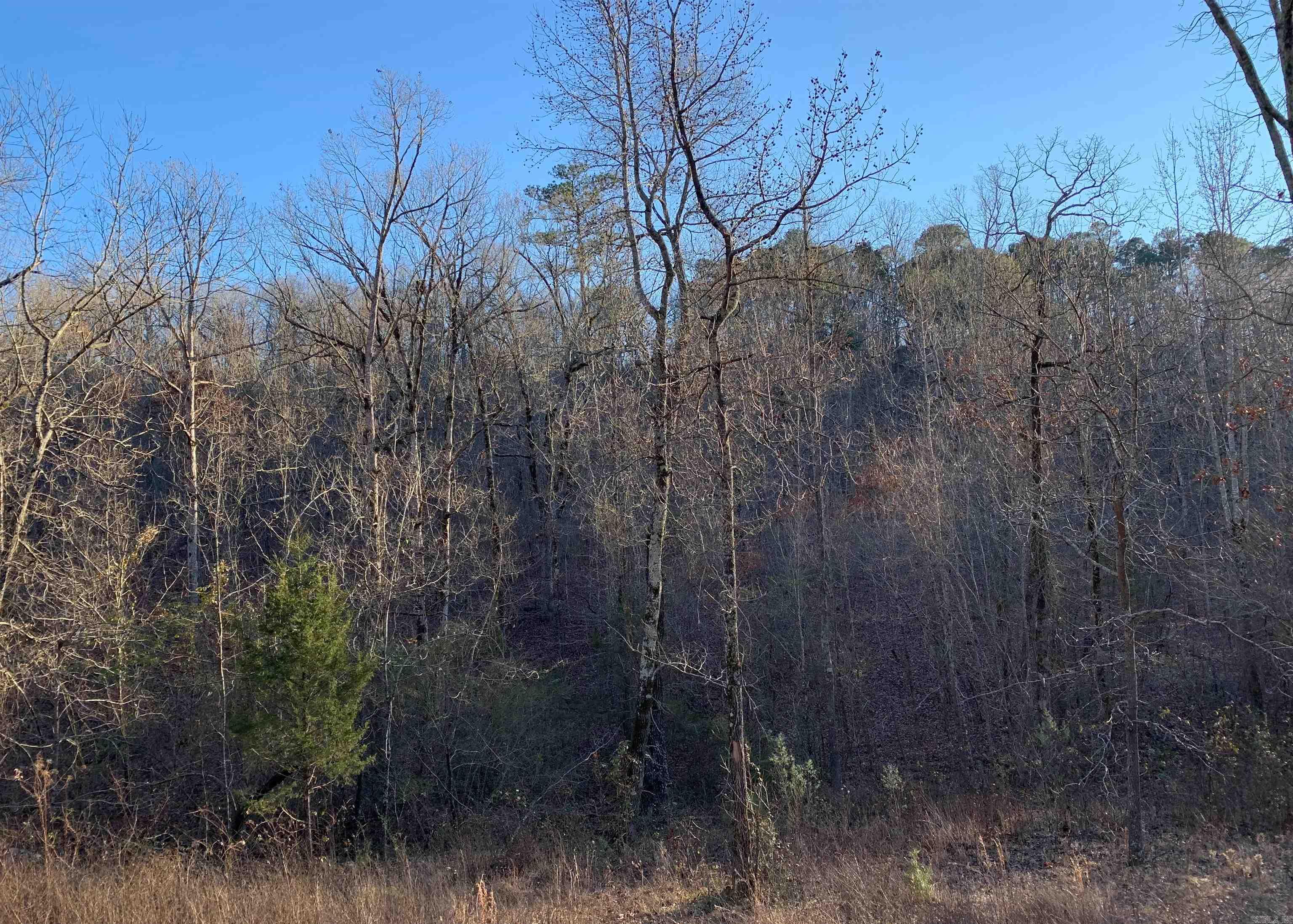 North View - Land