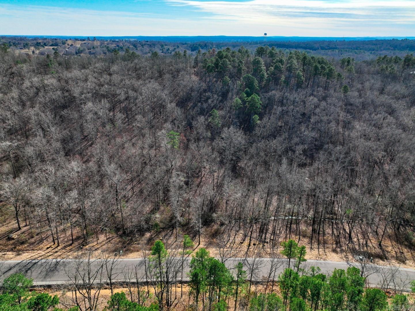 2.75 acre lot in Conway, Conway corp. utilities, Natural Gas, Beaverfork water, Septic, Paved Road, Secluded, Use any builder, 2700 sq. ft. minimum Covenants and Restrictions.