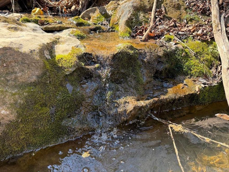 Private Searcy County Ozark tract with electric at the road and excellent access yet total seclusion. Recently select-cut, it features healthy hardwoods, thick bedding cover, and strong deer, turkey, and bear habitat. Rolling ridges, benches, and a new road/trail system provide easy navigation, stand access, and ideal cabin or food plot sites. Two springs, including a large, flowing limestone feature, offer reliable year-round water. Located just miles from the Buffalo National River, this unrestricted property is perfect for hunting, recreation, or building an off-grid retreat.