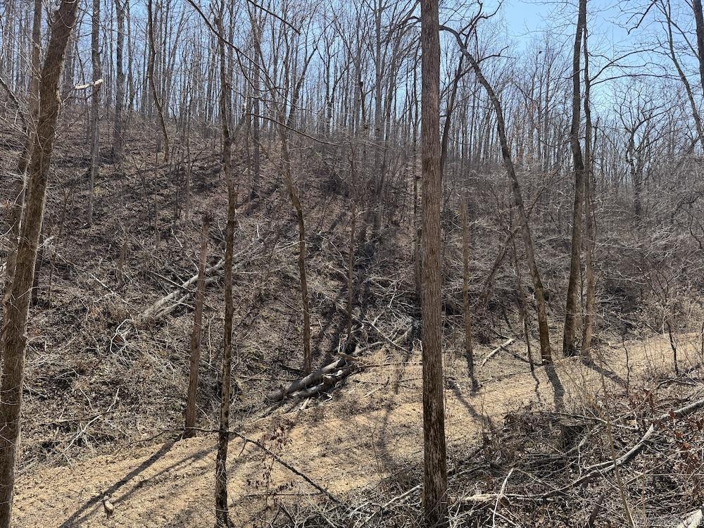 Not in Subdivision - Land