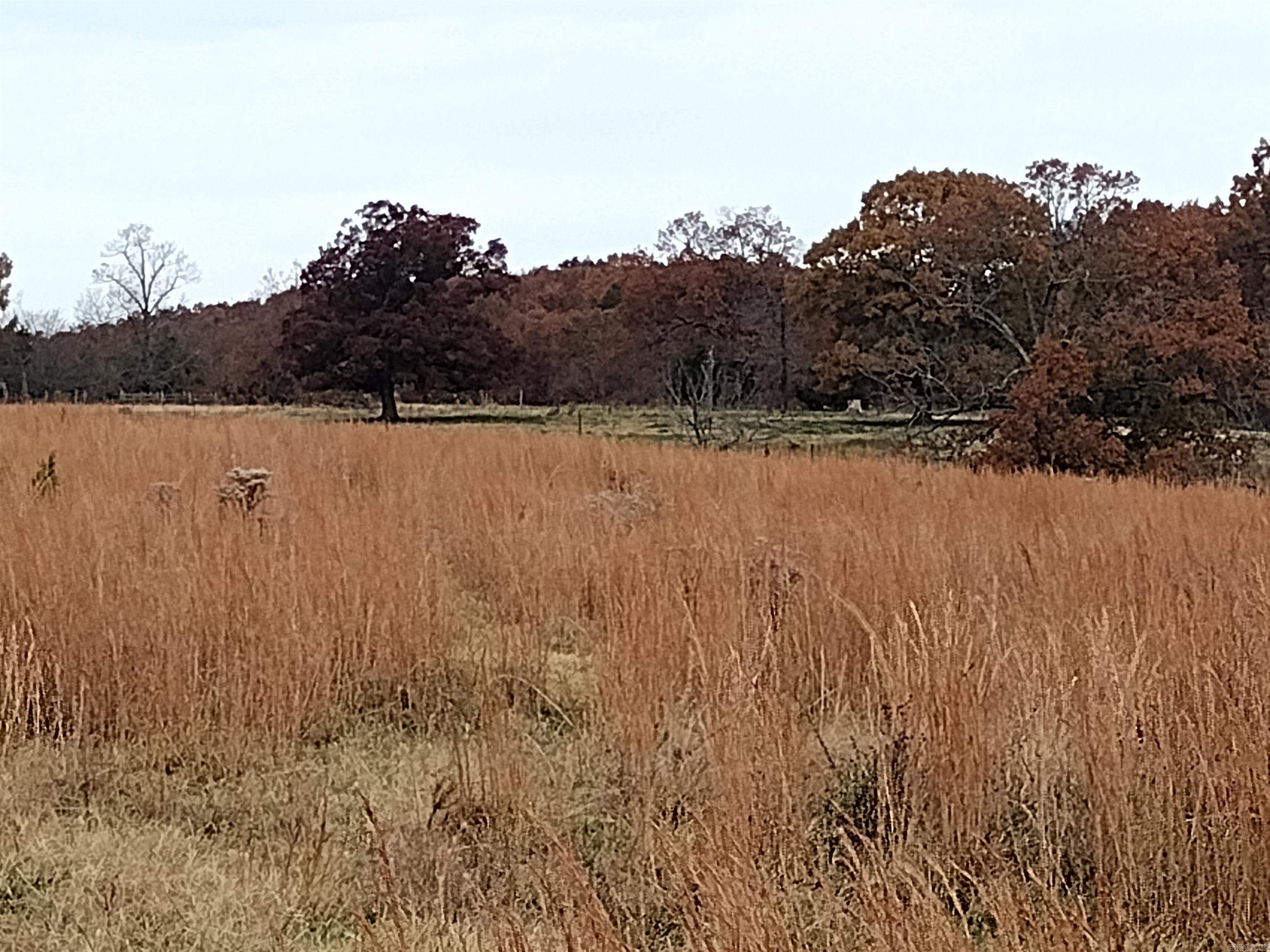 Metes & Bounds - Farm