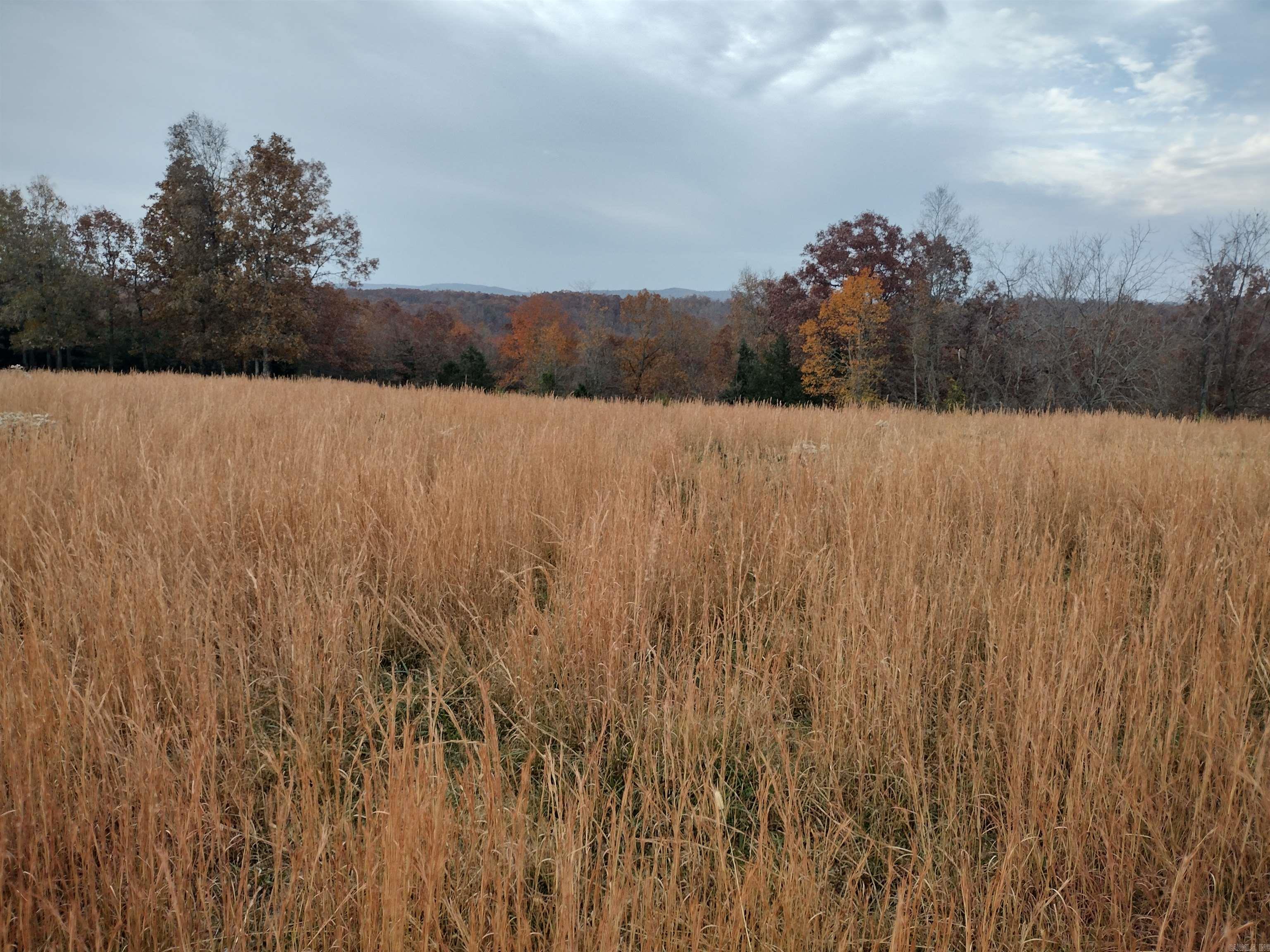 Metes & Bounds - Farm