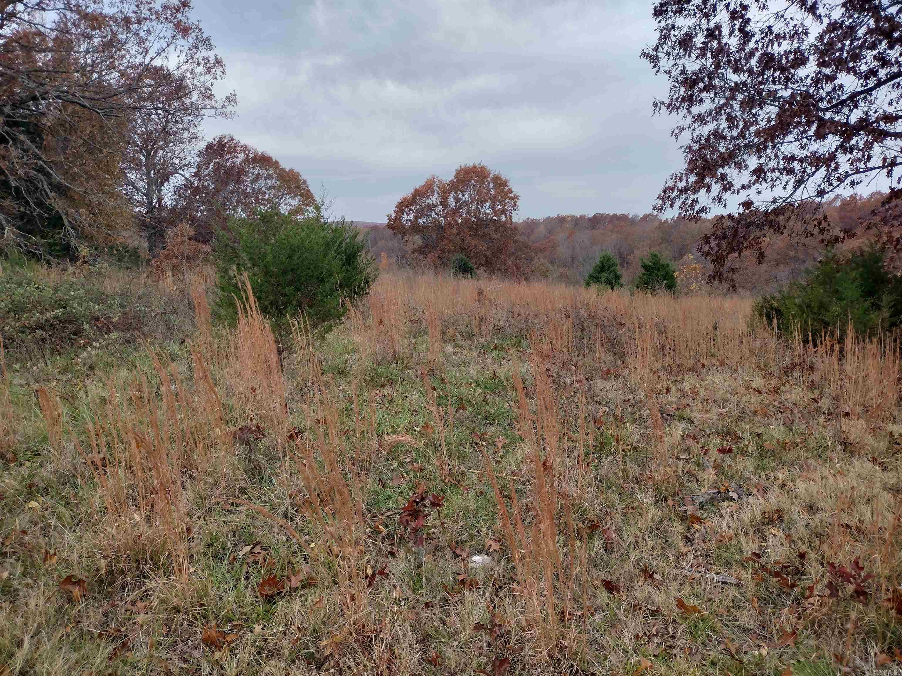 Metes & Bounds - Farm