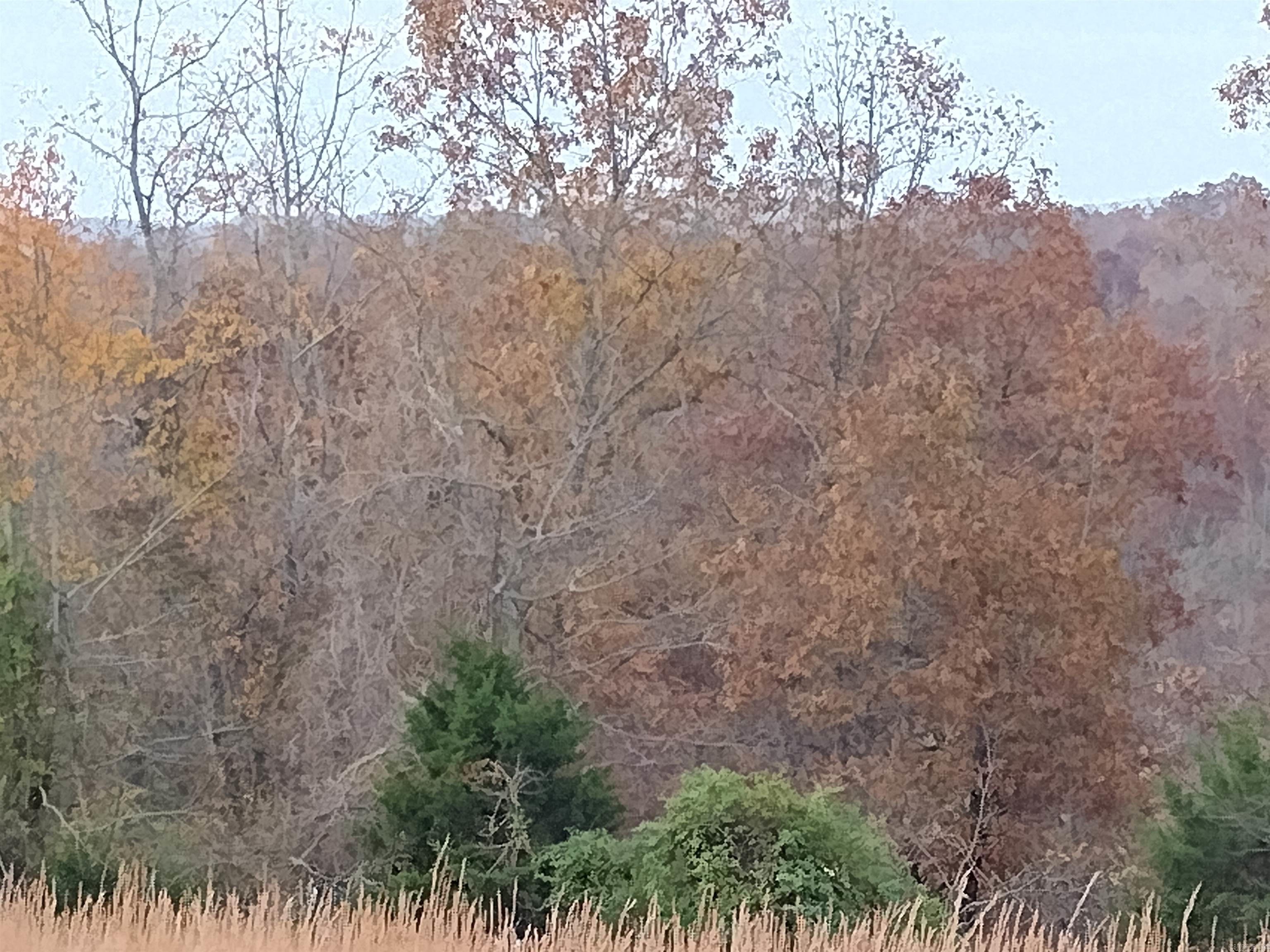 Metes & Bounds - Farm