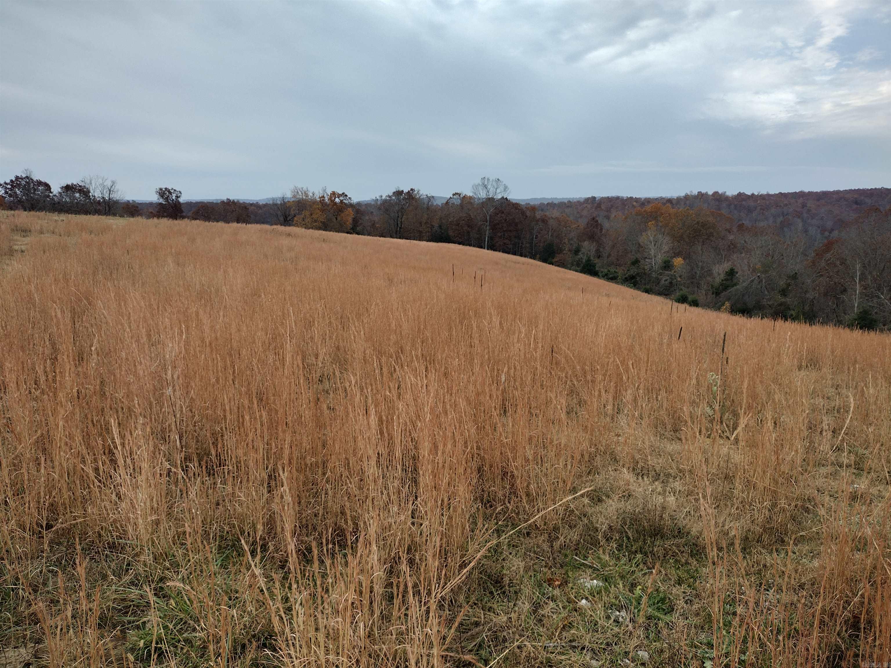 Metes & Bounds - Farm