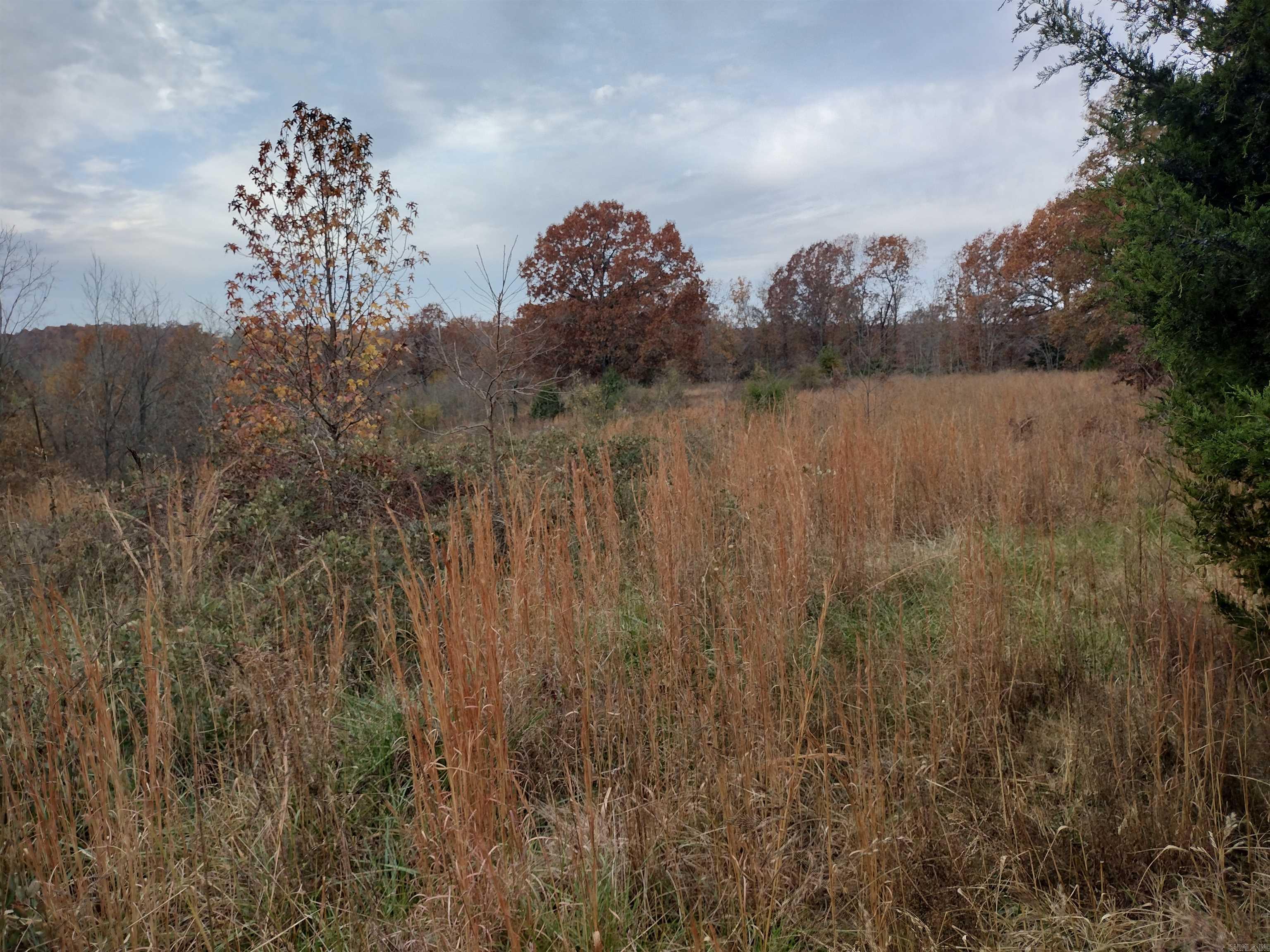 Metes & Bounds - Farm