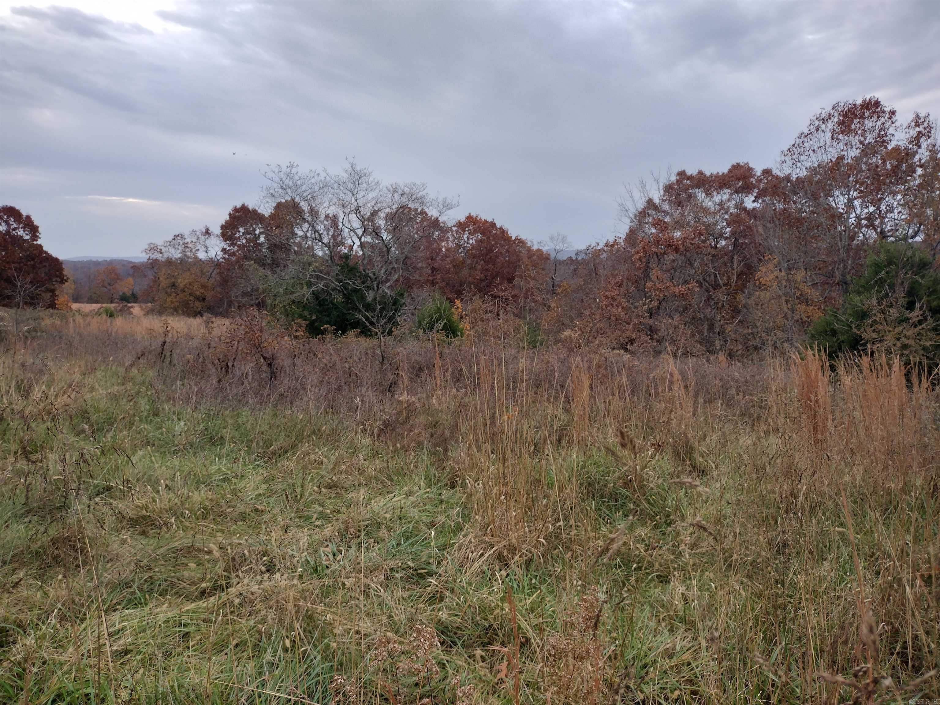 Metes & Bounds - Farm