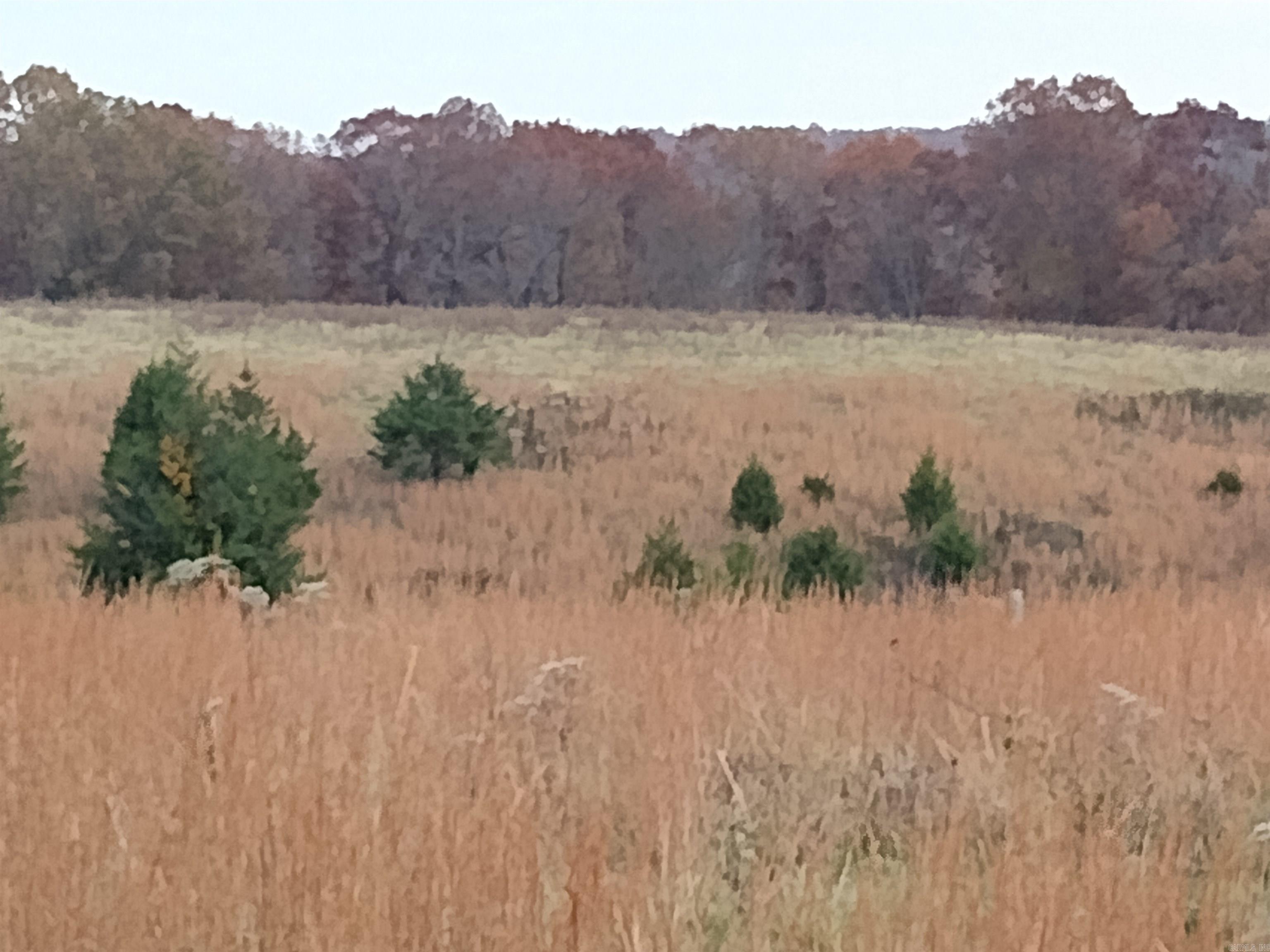 Metes & Bounds - Farm