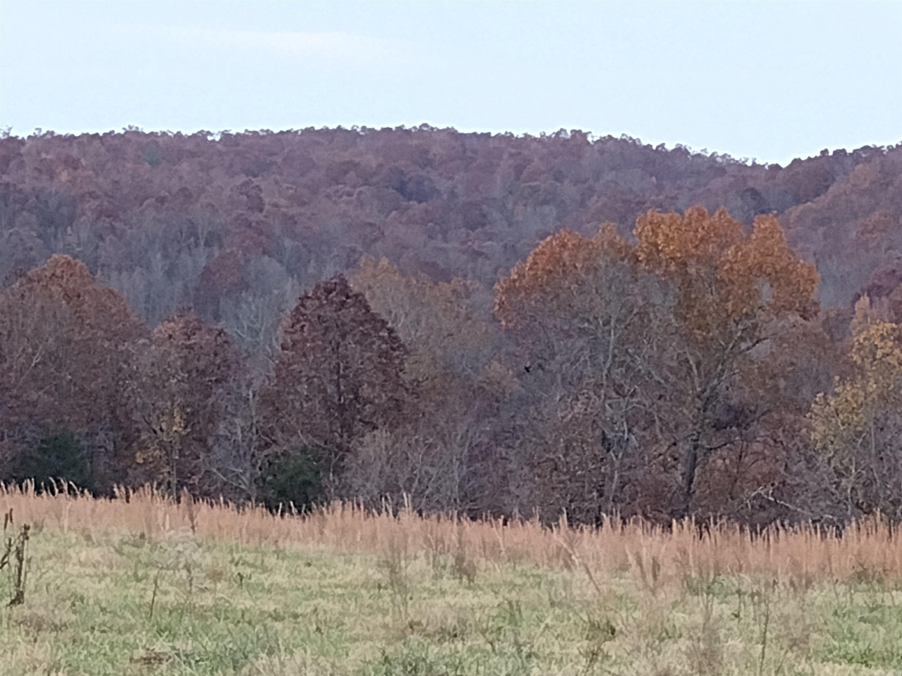 Metes & Bounds - Farm