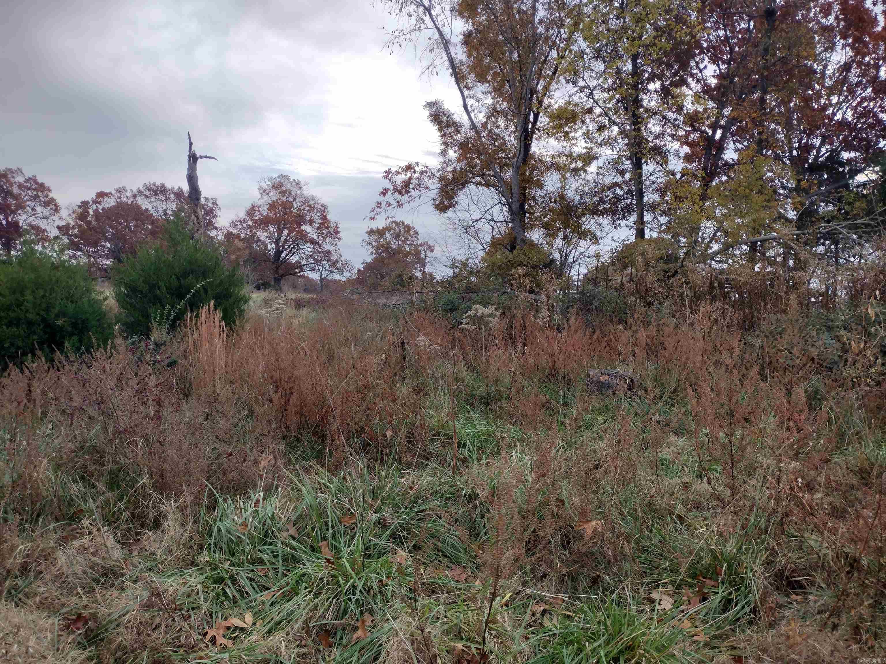 Metes & Bounds - Farm