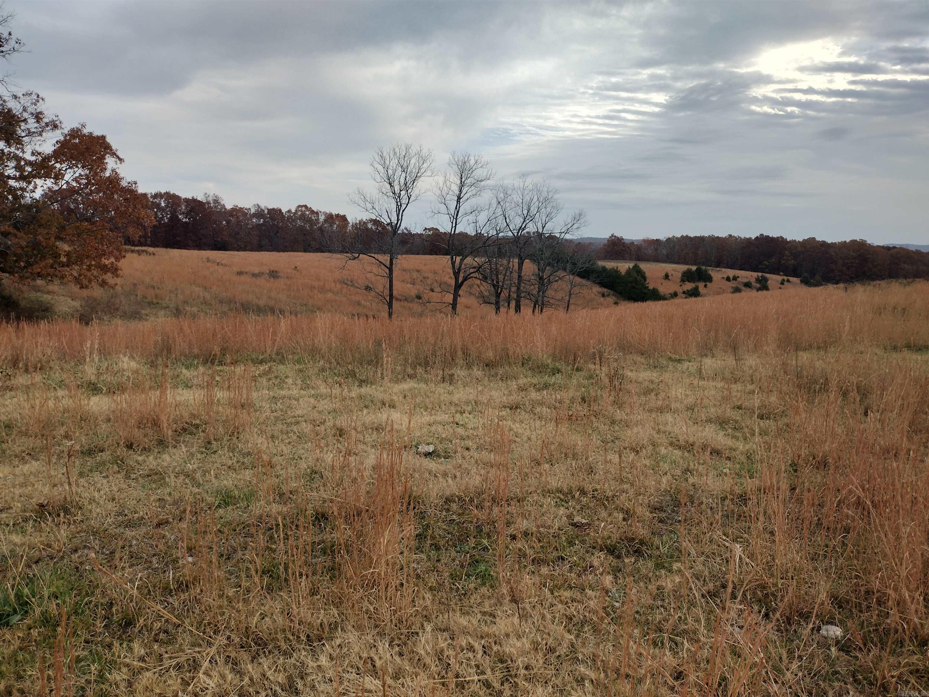 Metes & Bounds - Farm