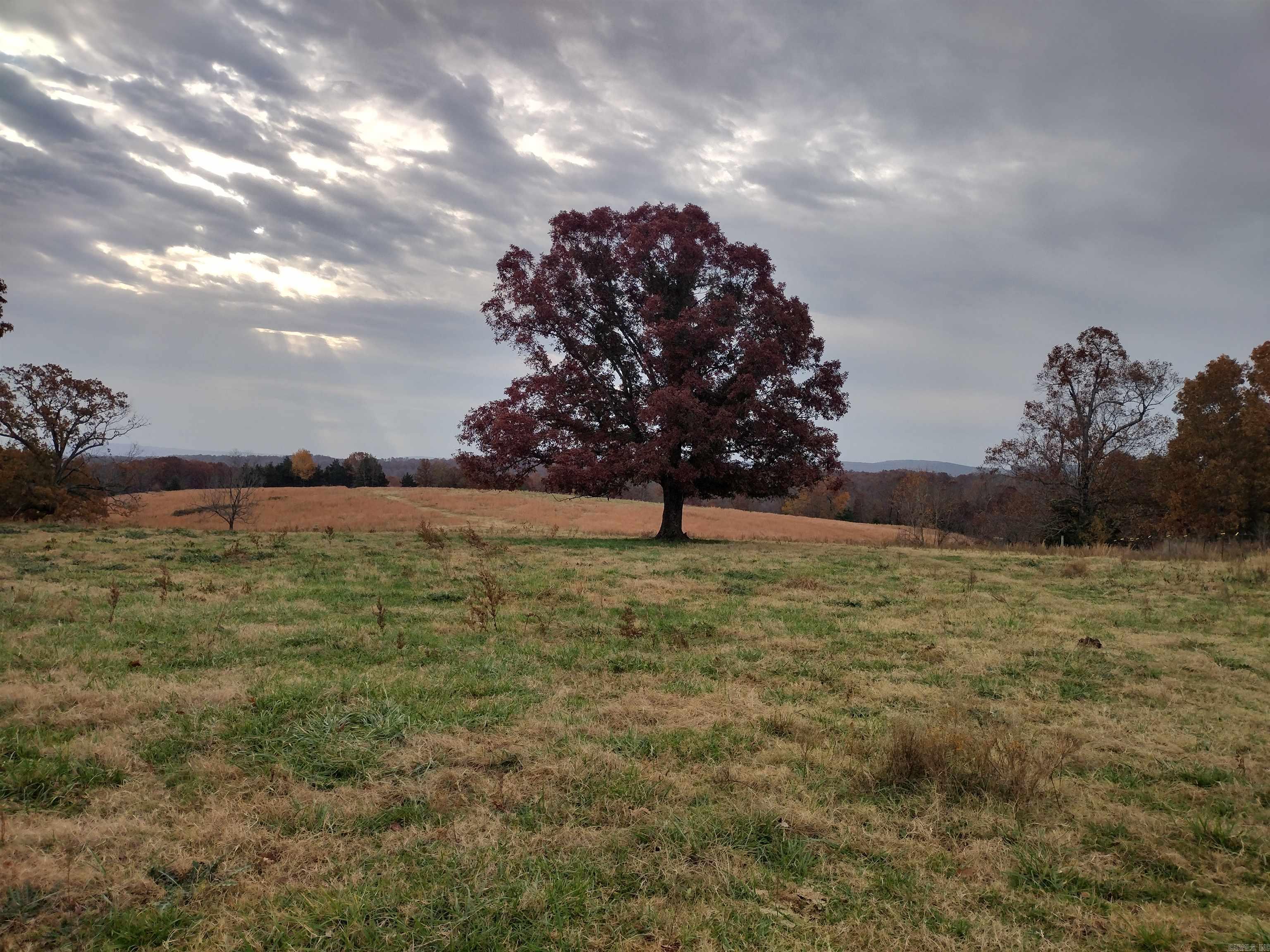 Metes & Bounds - Farm