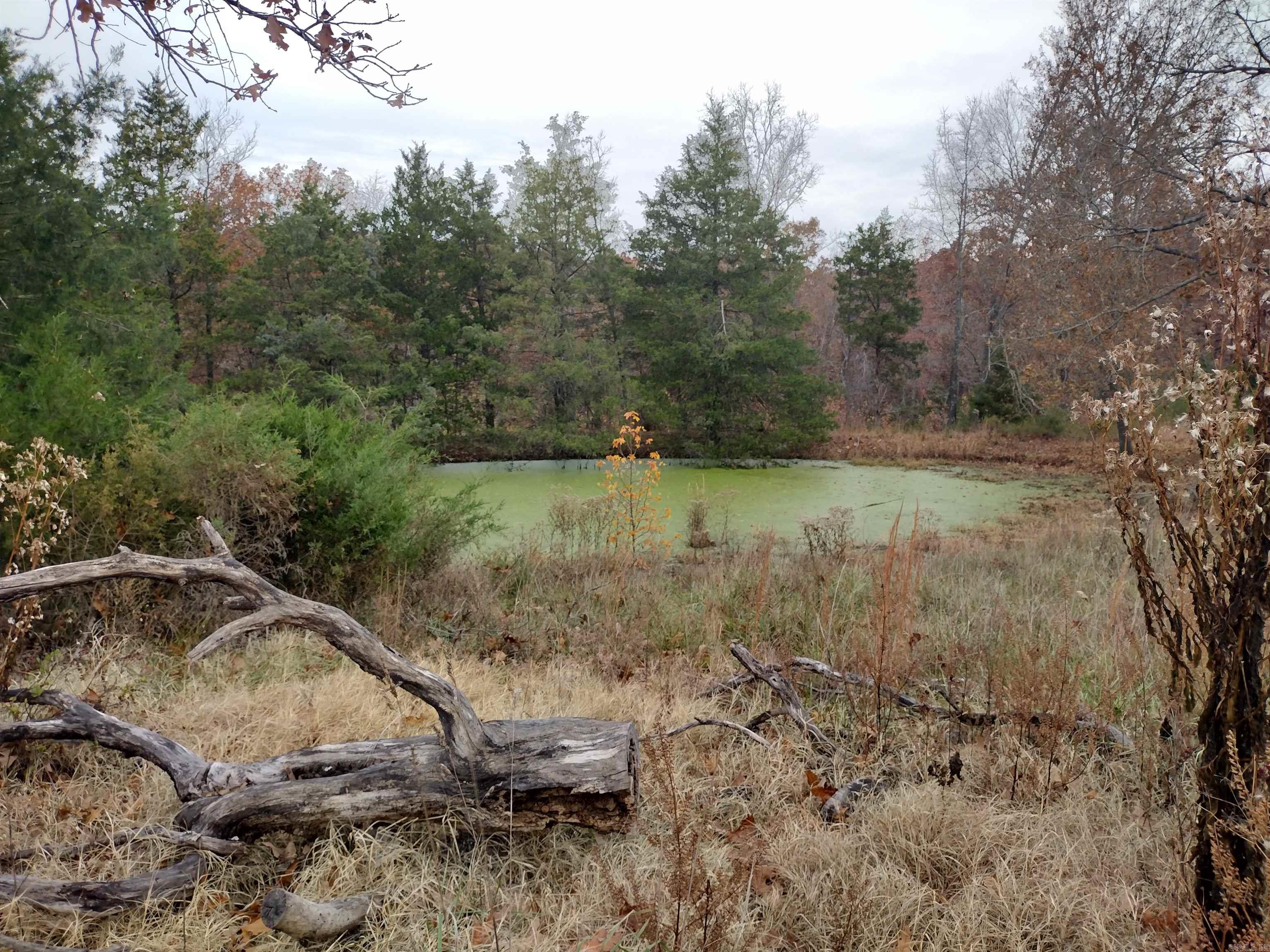 Metes & Bounds - Farm