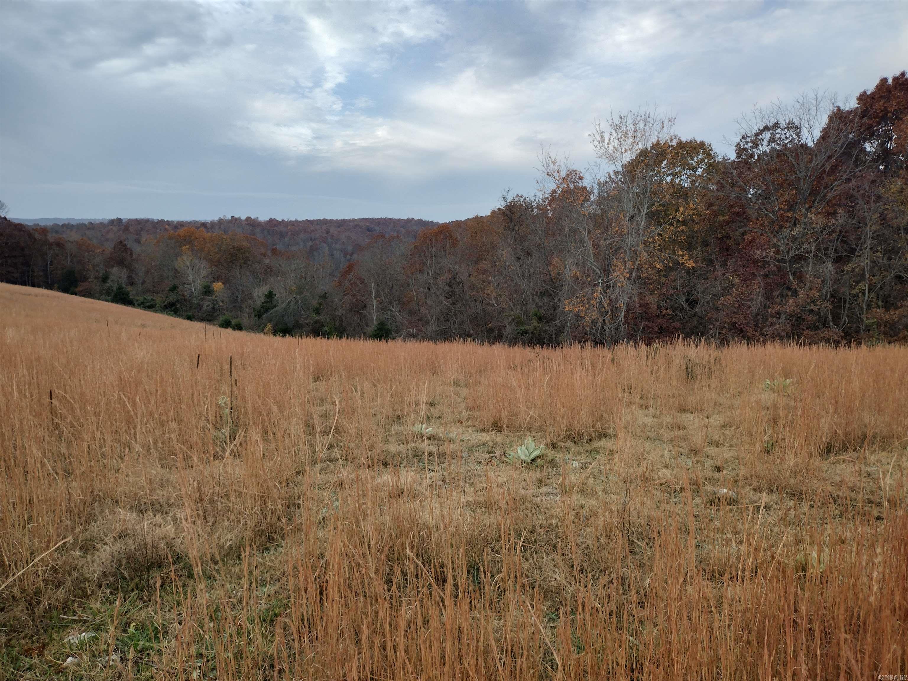 Metes & Bounds - Farm