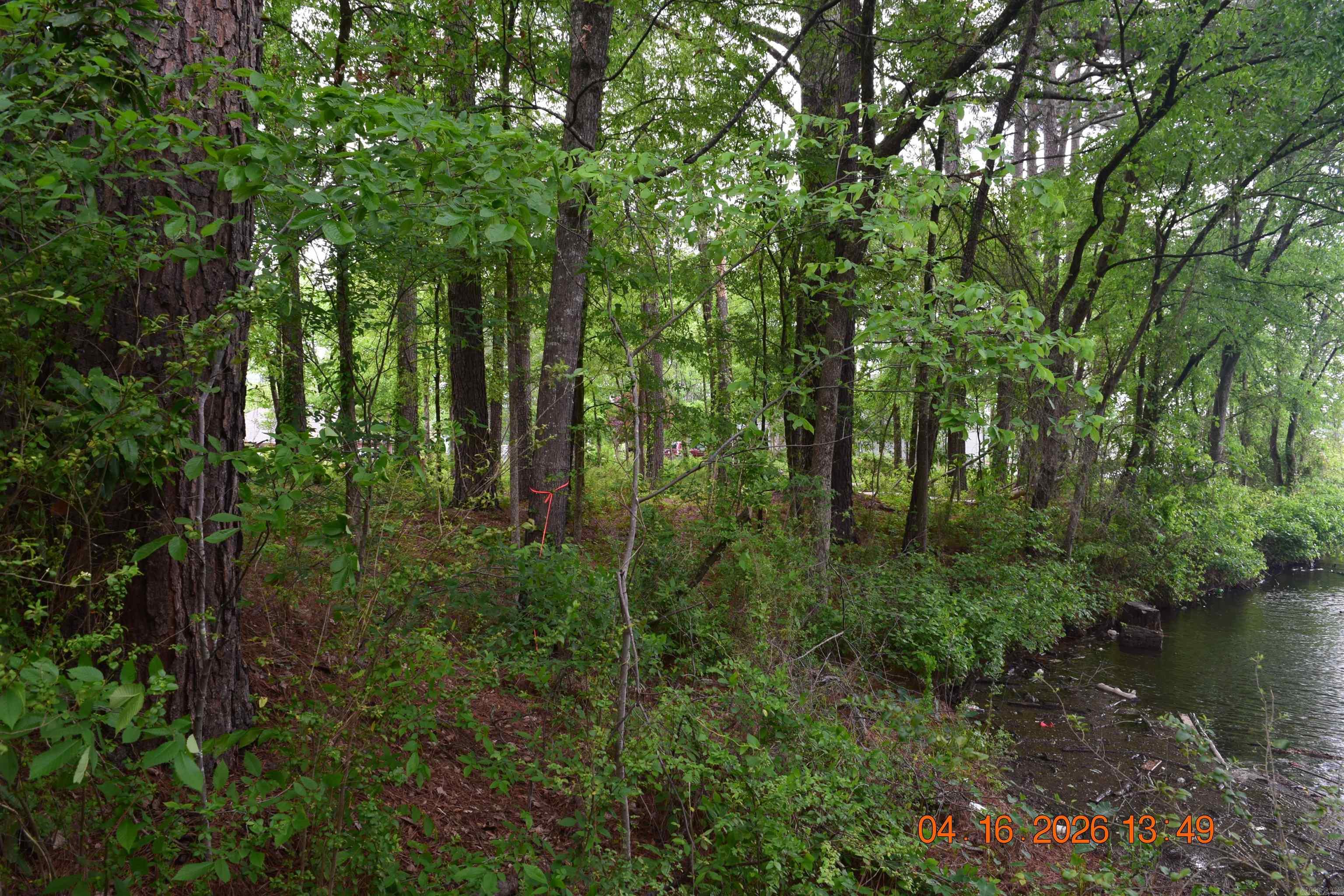 Wilson Lois K Estates - Land