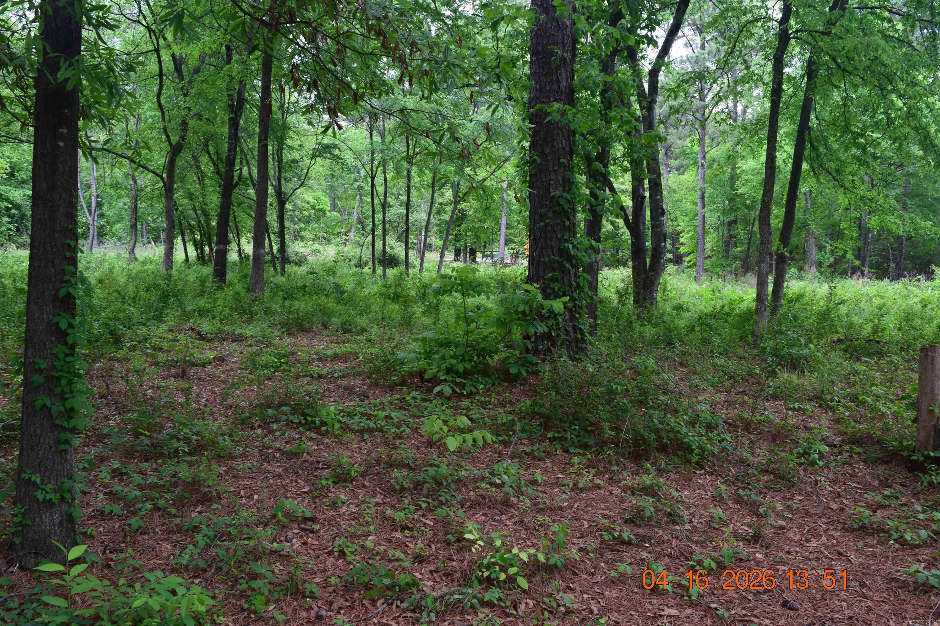 Wilson Lois K Estates - Land