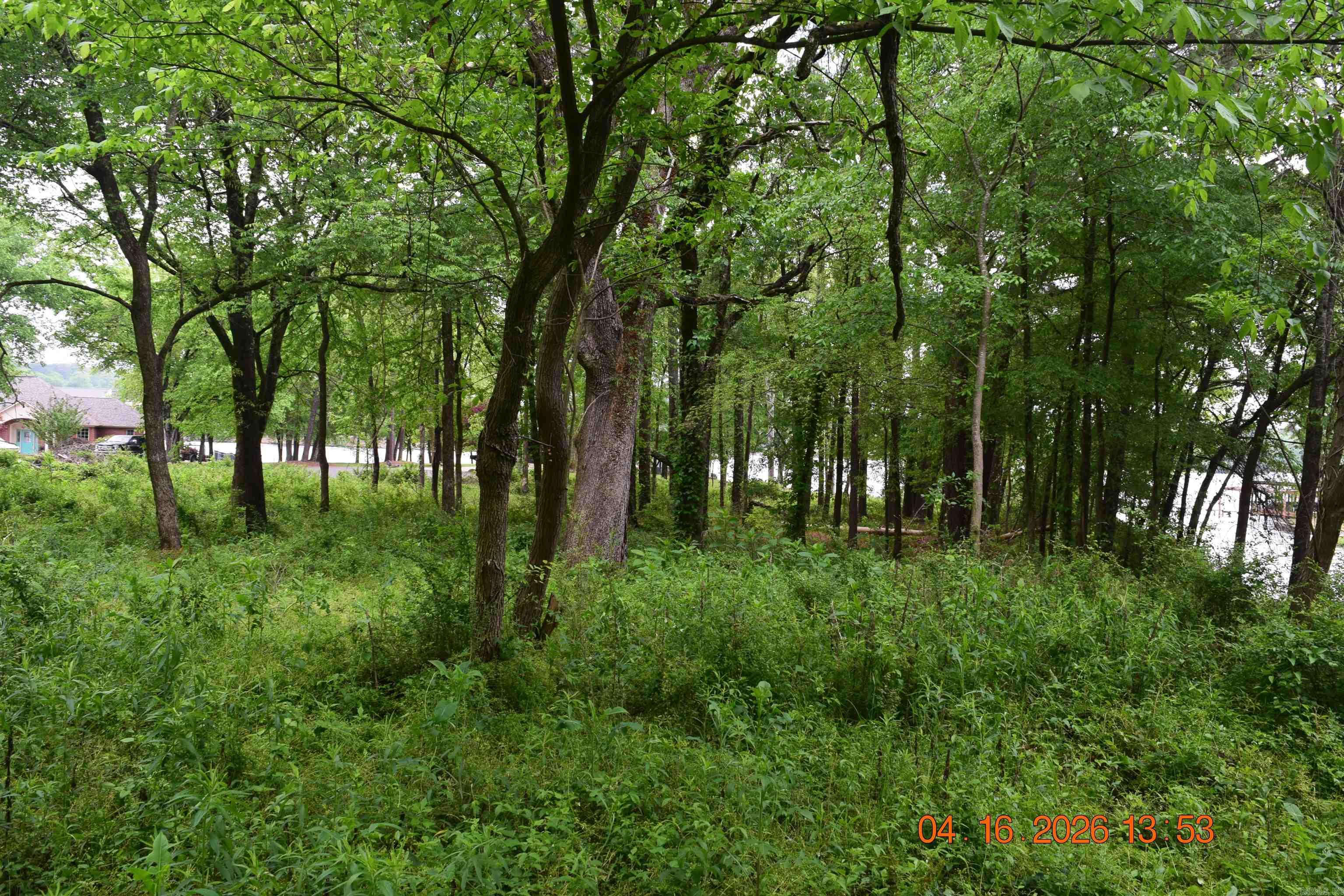 Wilson Lois K Estates - Land