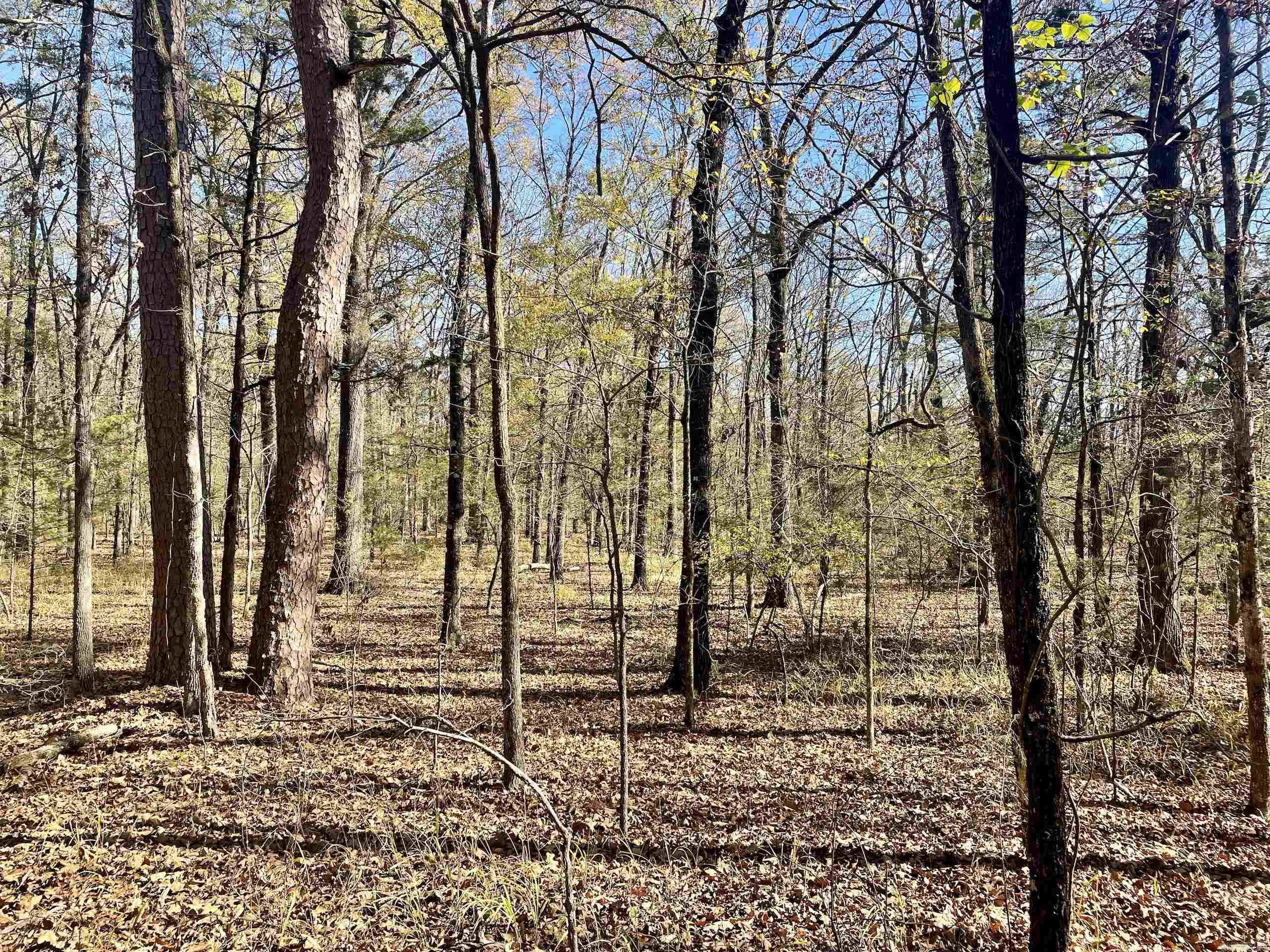 Not in Subdivision - Land