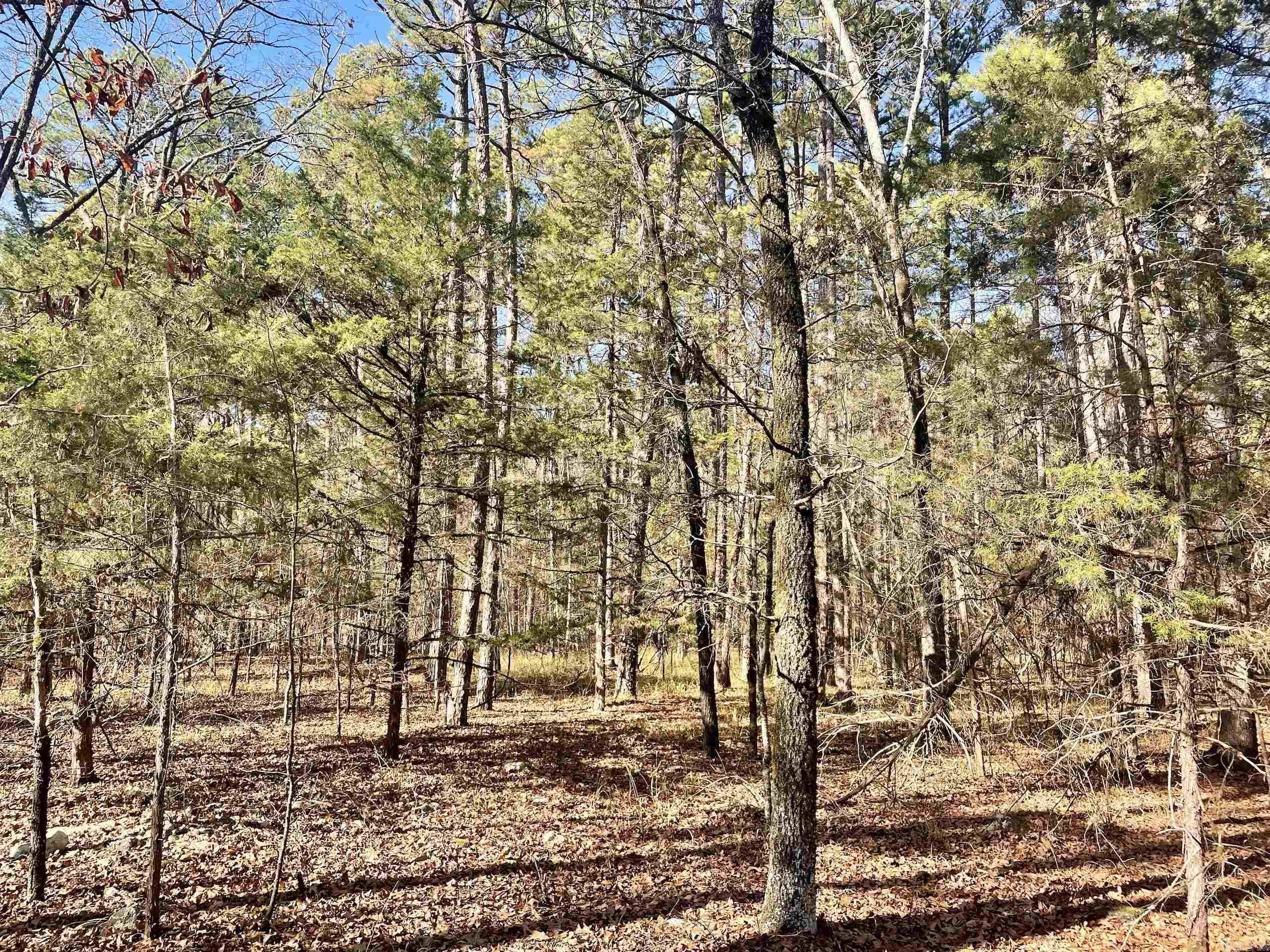 Not in Subdivision - Land