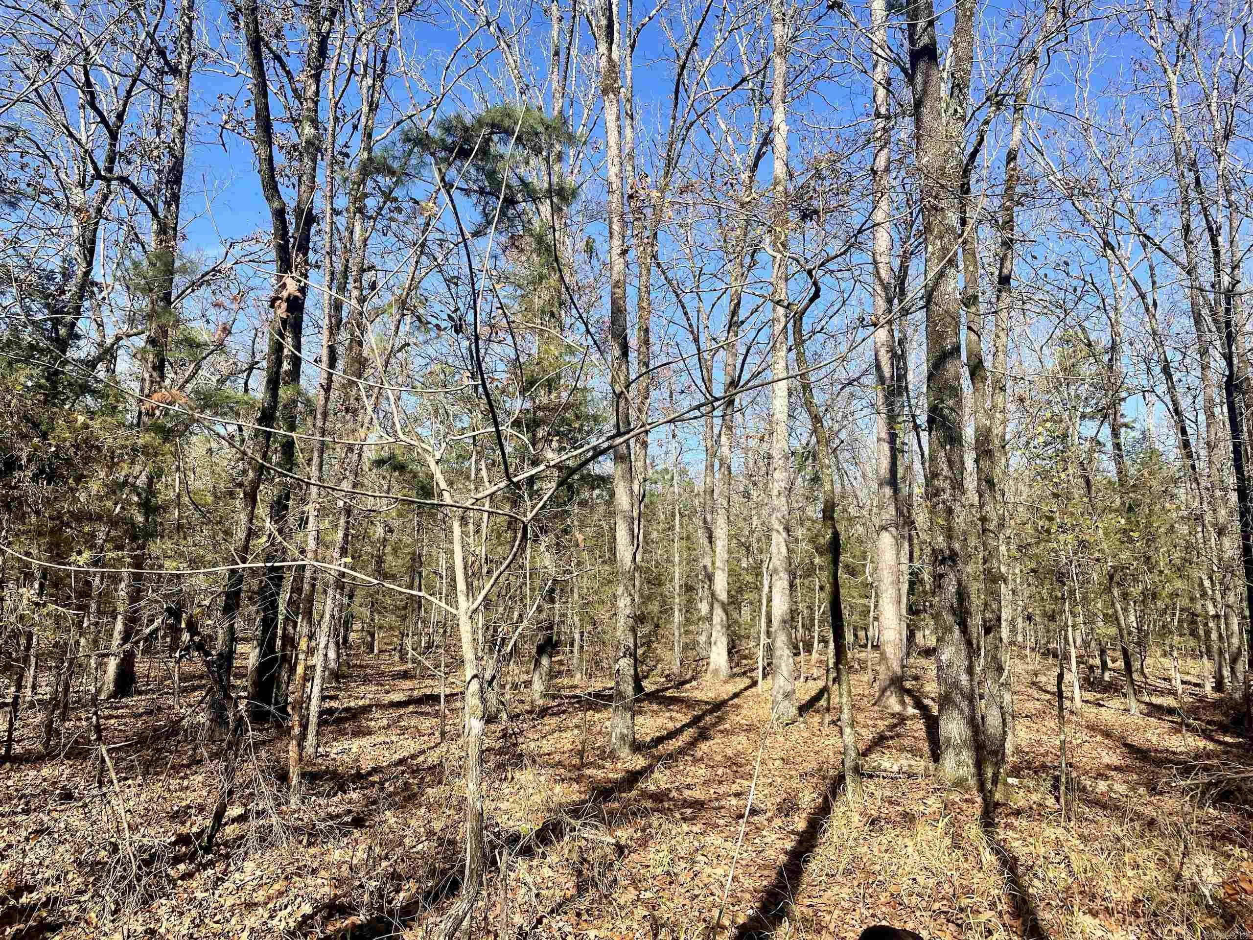 Not in Subdivision - Land