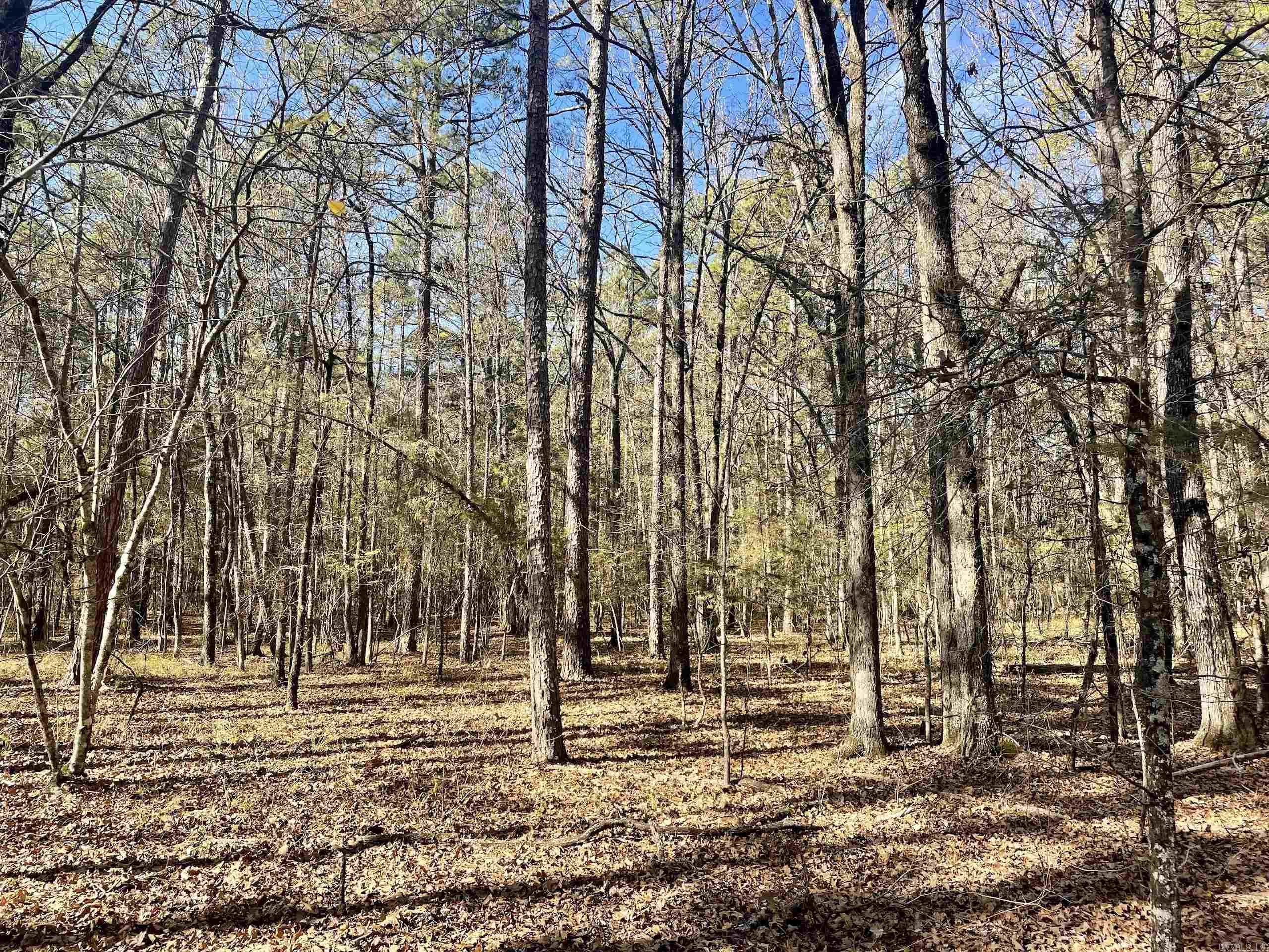 Not in Subdivision - Land