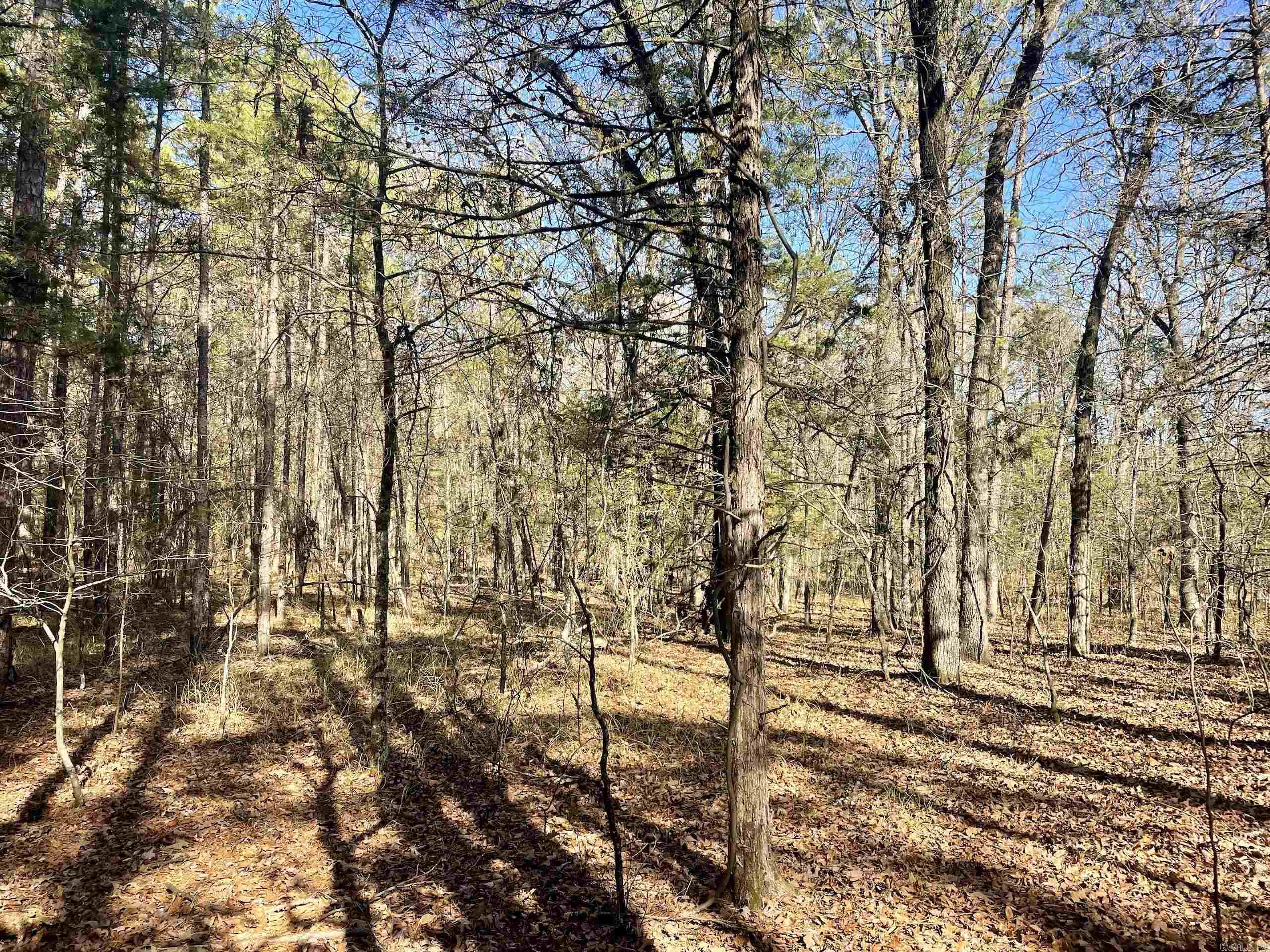 Not in Subdivision - Land