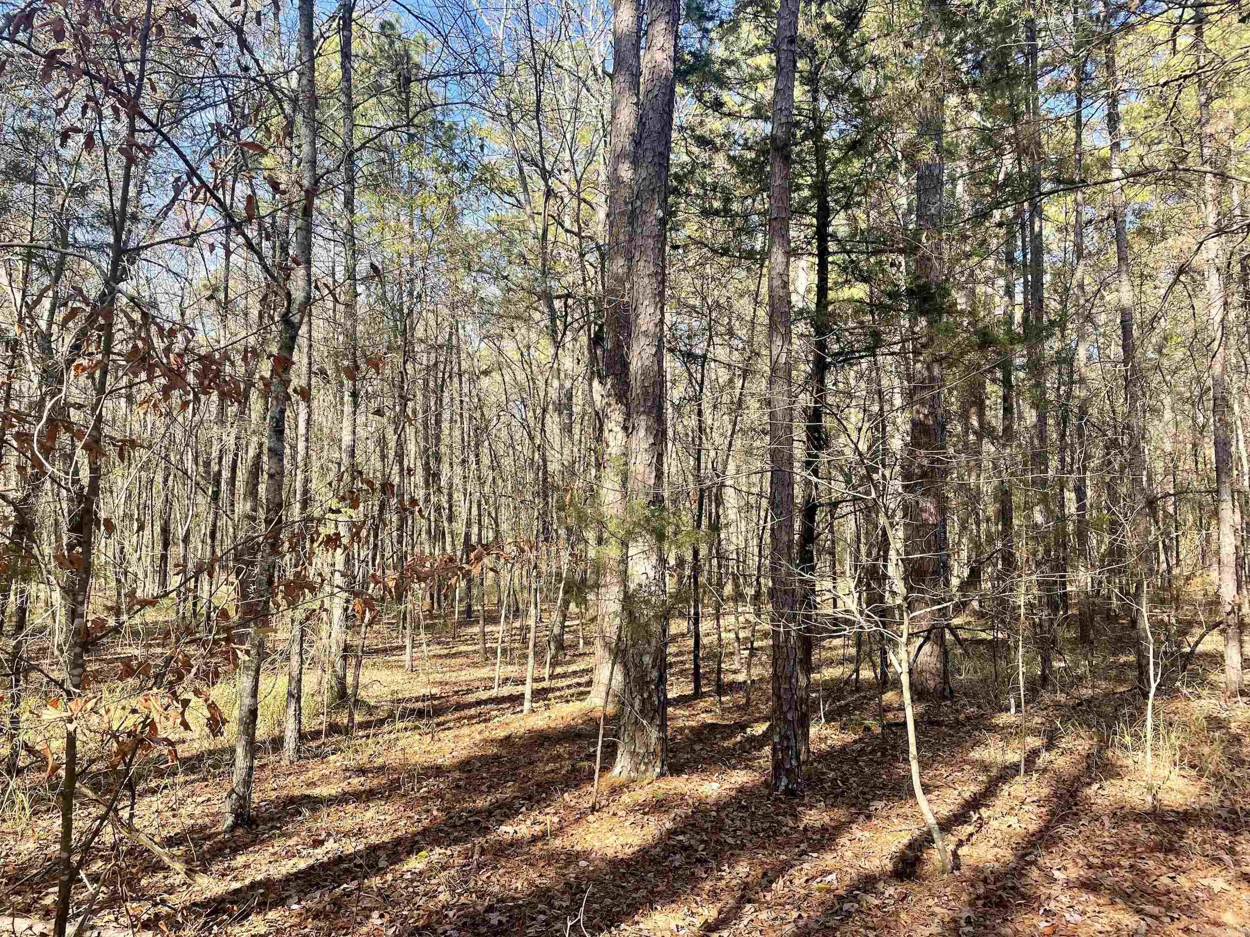 Not in Subdivision - Land