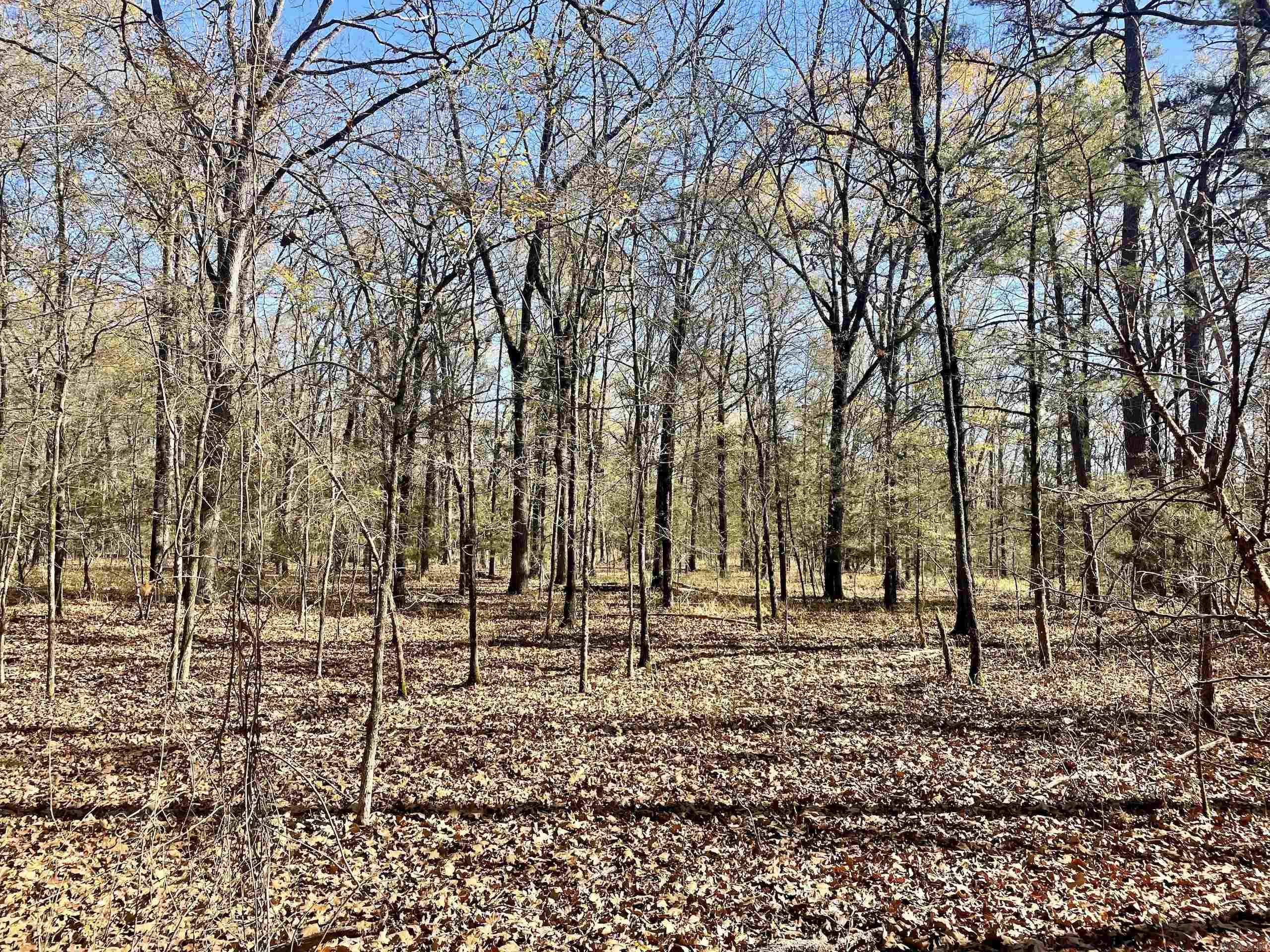 Not in Subdivision - Land